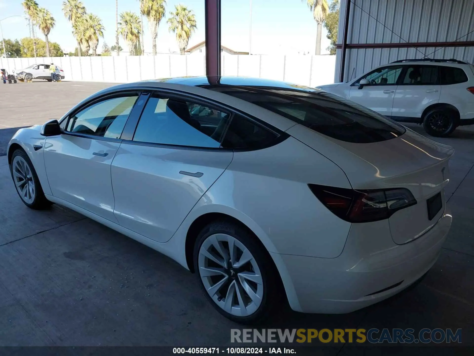 3 Photograph of a damaged car 5YJ3E1EBXPF714860 TESLA MODEL 3 2023