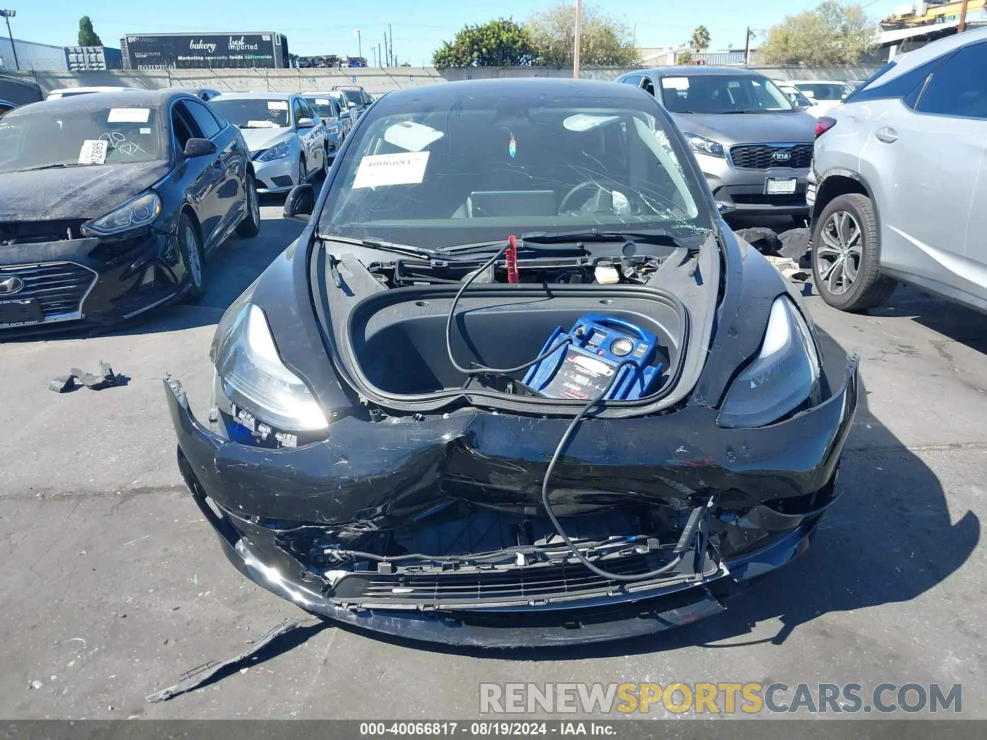 12 Photograph of a damaged car 5YJ3E1EC0PF412017 TESLA MODEL 3 2023