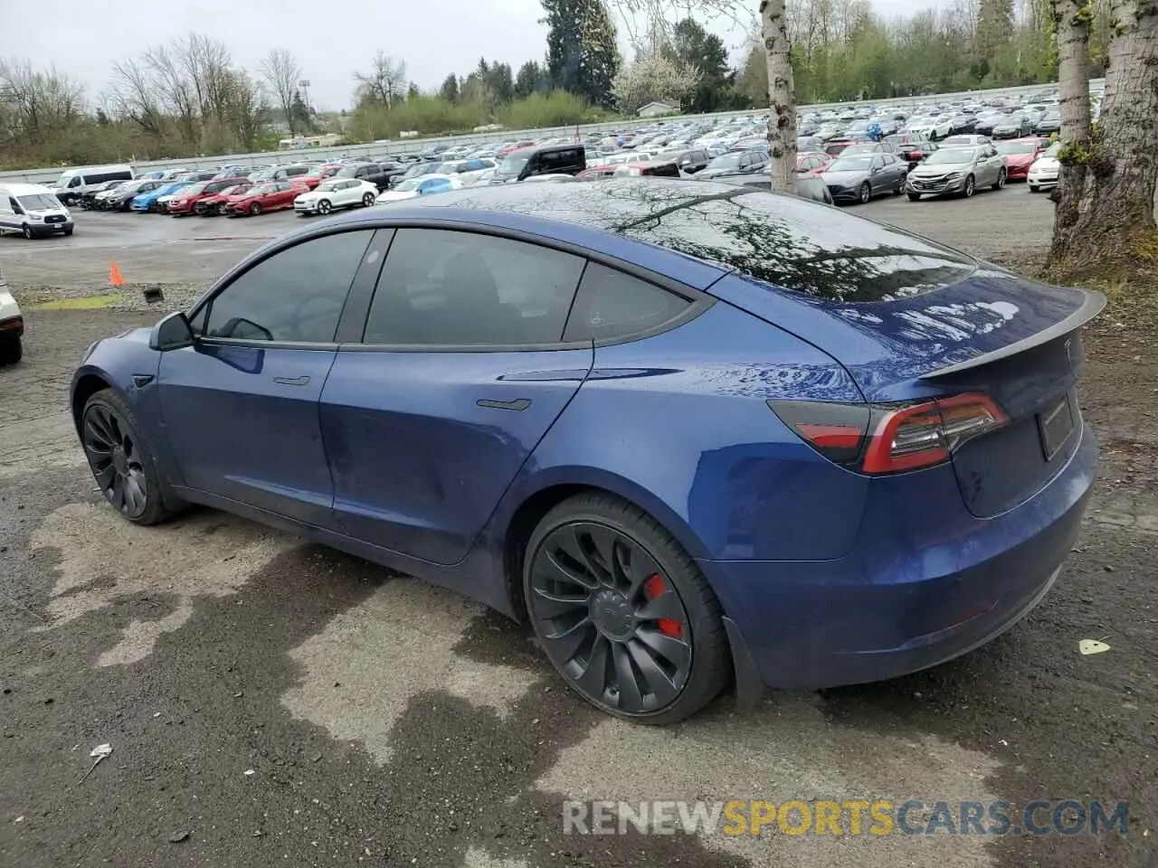 2 Photograph of a damaged car 5YJ3E1EC3PF496284 TESLA MODEL 3 2023