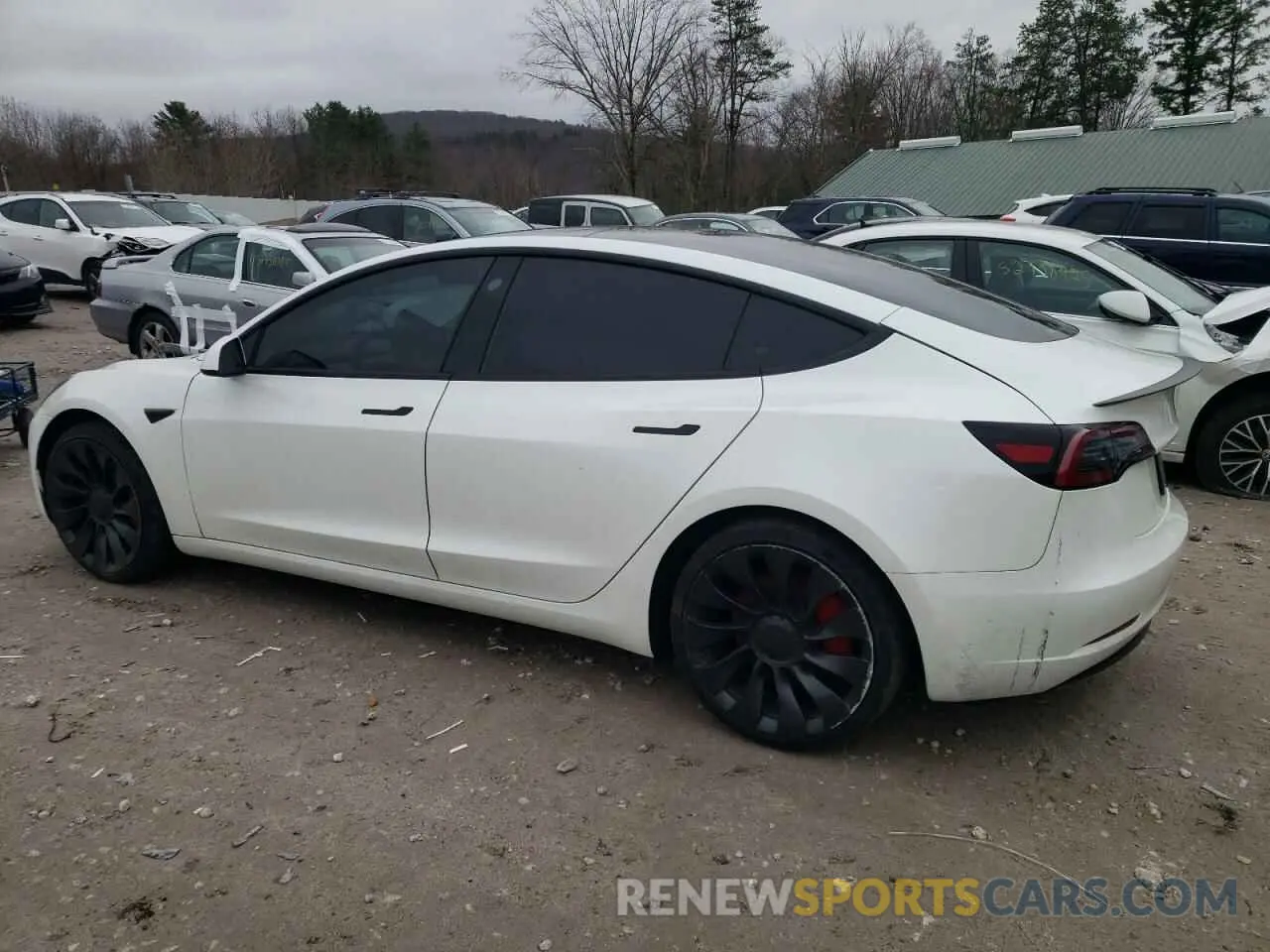 2 Photograph of a damaged car 5YJ3E1EC3PF608355 TESLA MODEL 3 2023