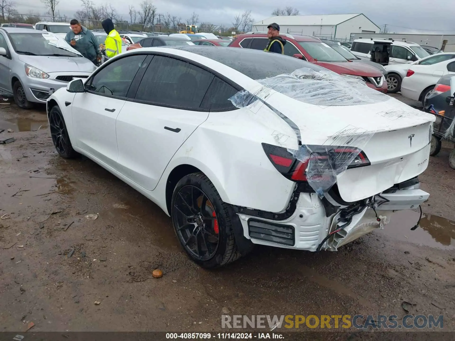3 Photograph of a damaged car 5YJ3E1EC4PF628033 TESLA MODEL 3 2023