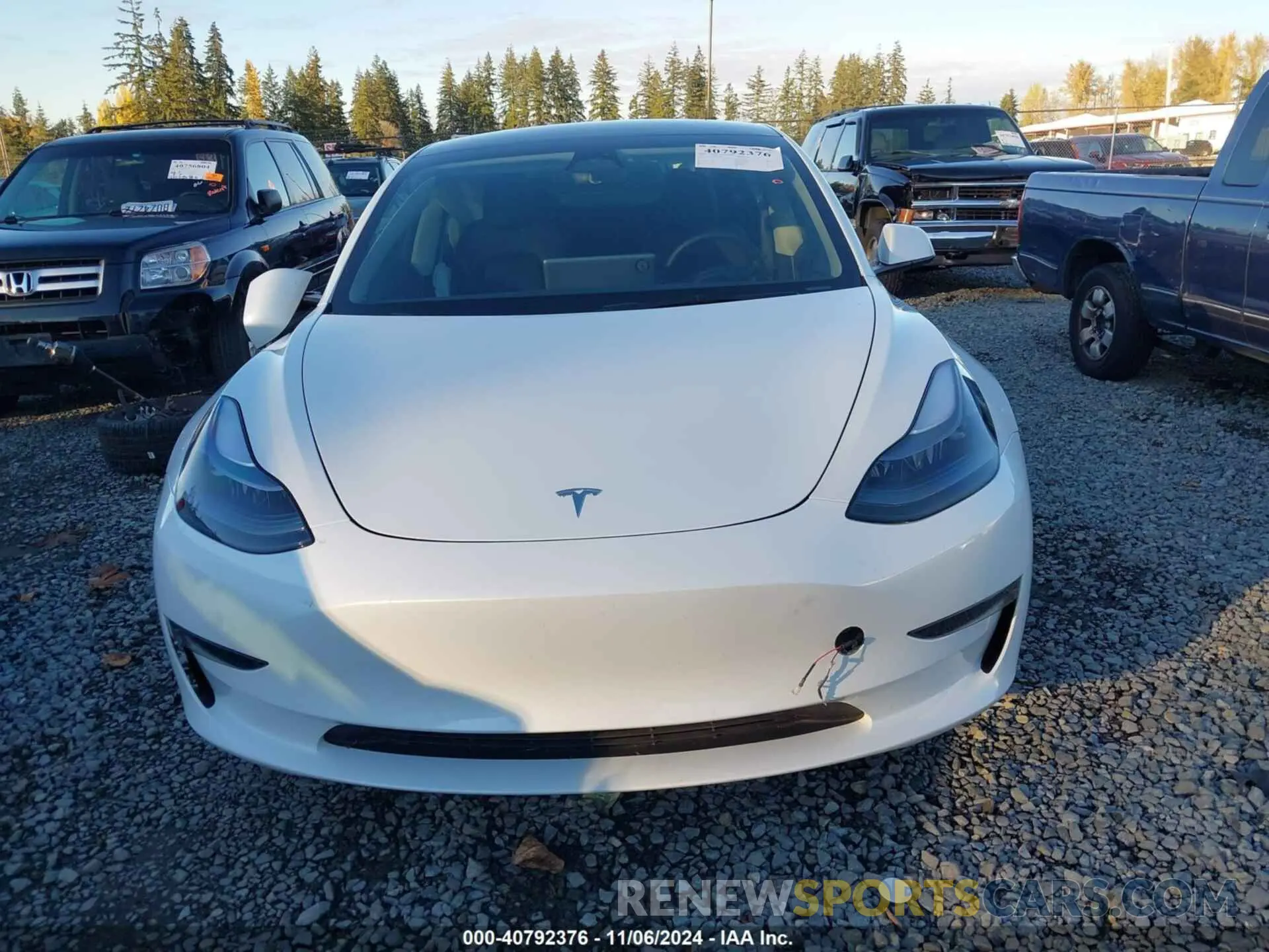 12 Photograph of a damaged car 5YJ3E1EC6PF553660 TESLA MODEL 3 2023