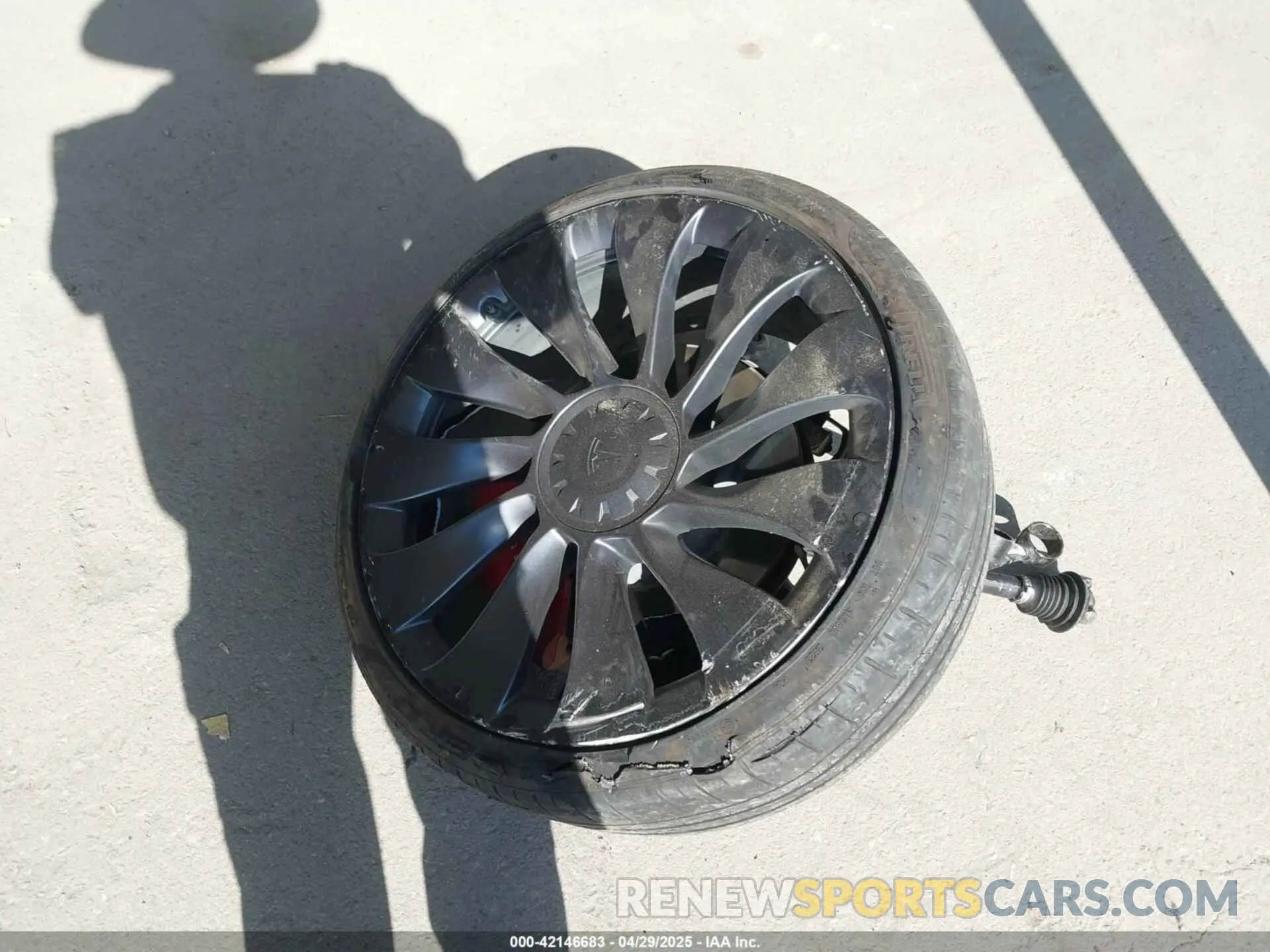 11 Photograph of a damaged car 5YJ3E1ECXPF410212 TESLA MODEL 3 2023