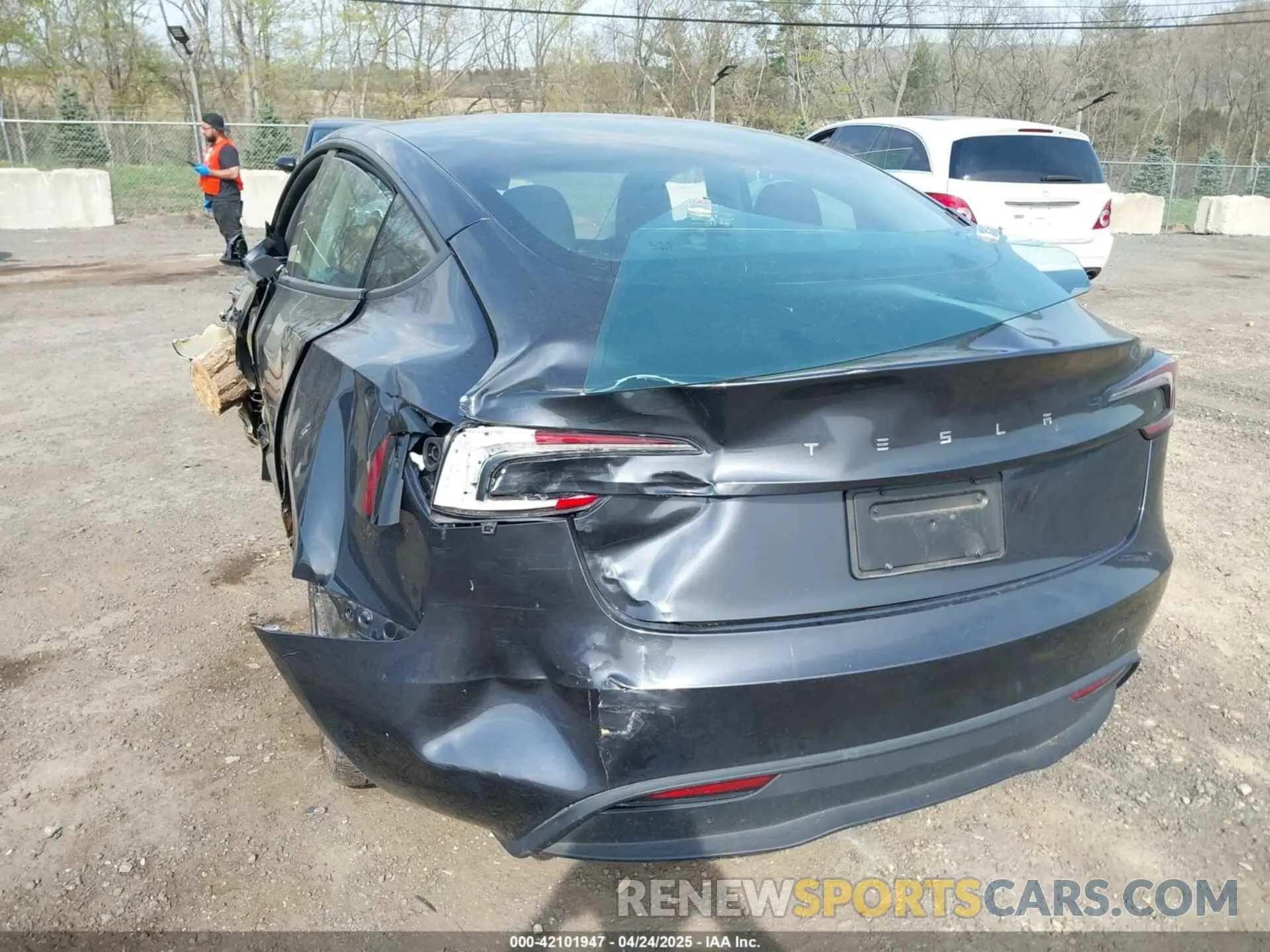 19 Photograph of a damaged car 5YJ3E1EA1RF735719 TESLA MODEL 3 2024
