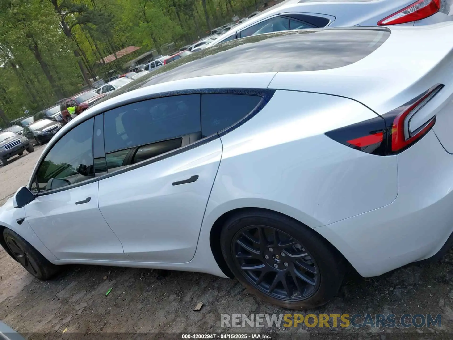 14 Photograph of a damaged car 5YJ3E1EA1RF853625 TESLA MODEL 3 2024