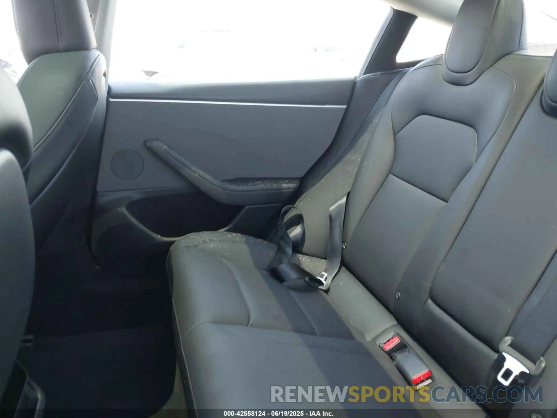8 Photograph of a damaged car 5YJ3E1EA1RF861420 TESLA MODEL 3 2024