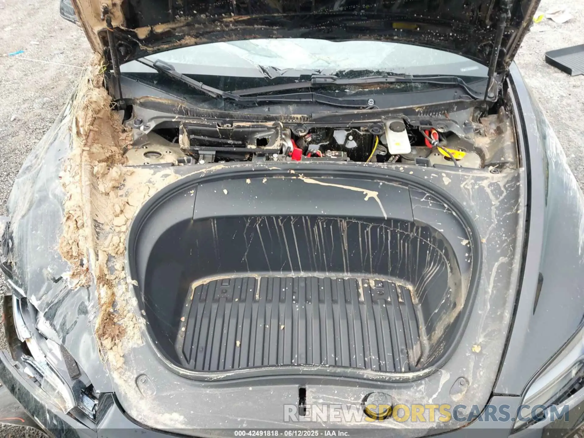 10 Photograph of a damaged car 5YJ3E1EA3RF729159 TESLA MODEL 3 2024