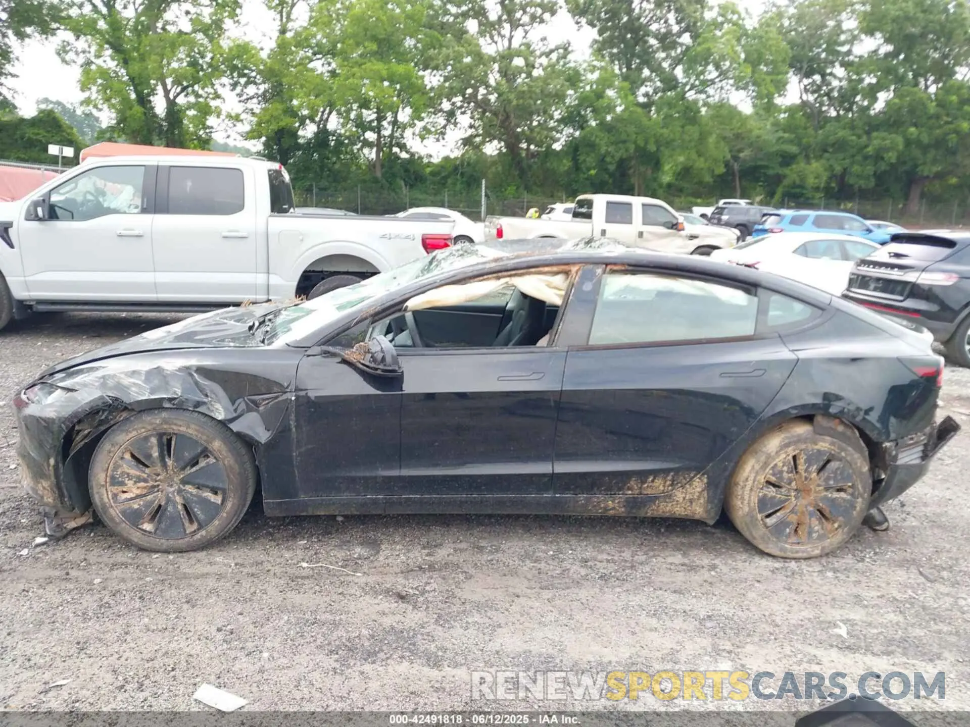 13 Photograph of a damaged car 5YJ3E1EA3RF729159 TESLA MODEL 3 2024