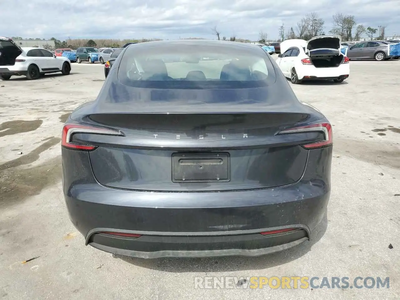 6 Photograph of a damaged car 5YJ3E1EA3RF739920 TESLA MODEL 3 2024