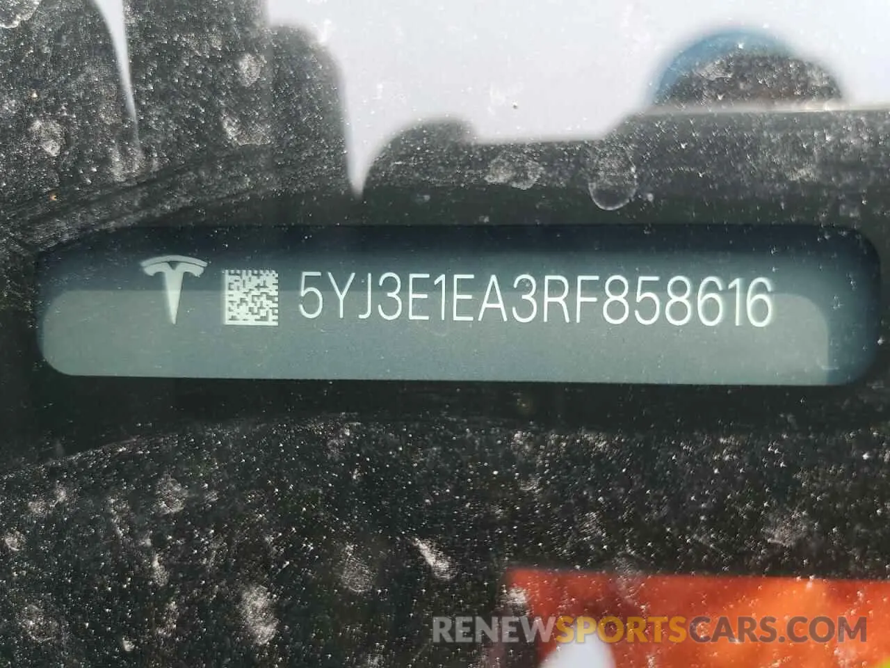 12 Photograph of a damaged car 5YJ3E1EA3RF858616 TESLA MODEL 3 2024