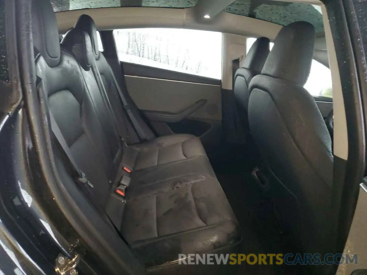 11 Photograph of a damaged car 5YJ3E1EA8RF842203 TESLA MODEL 3 2024