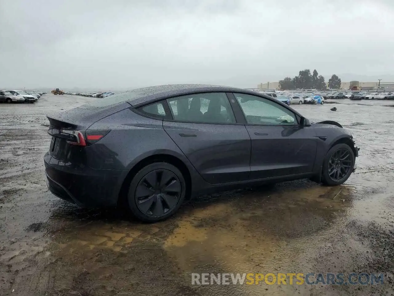 3 Photograph of a damaged car 5YJ3E1EA8RF842203 TESLA MODEL 3 2024