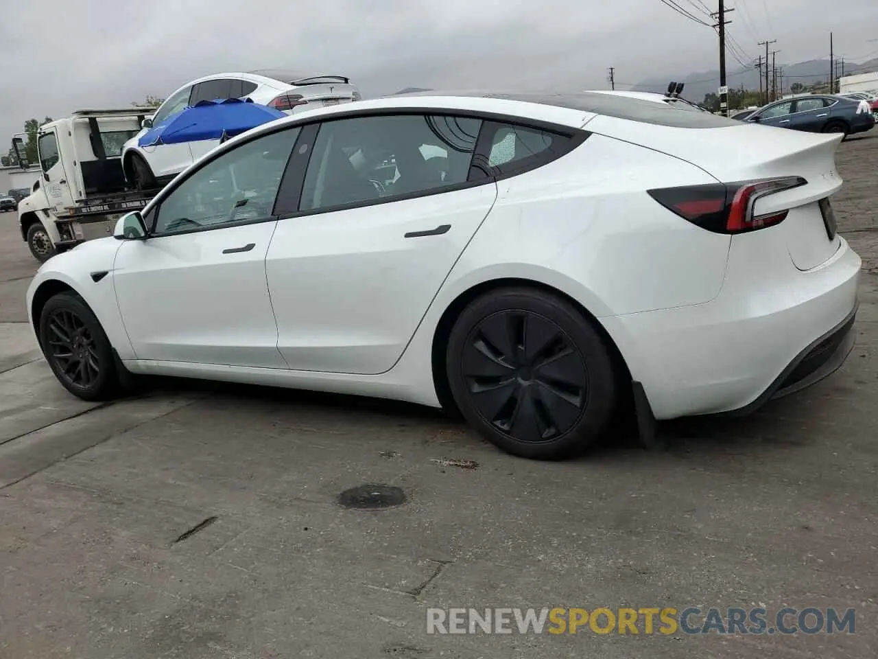 2 Photograph of a damaged car 5YJ3E1EAXRF856426 TESLA MODEL 3 2024