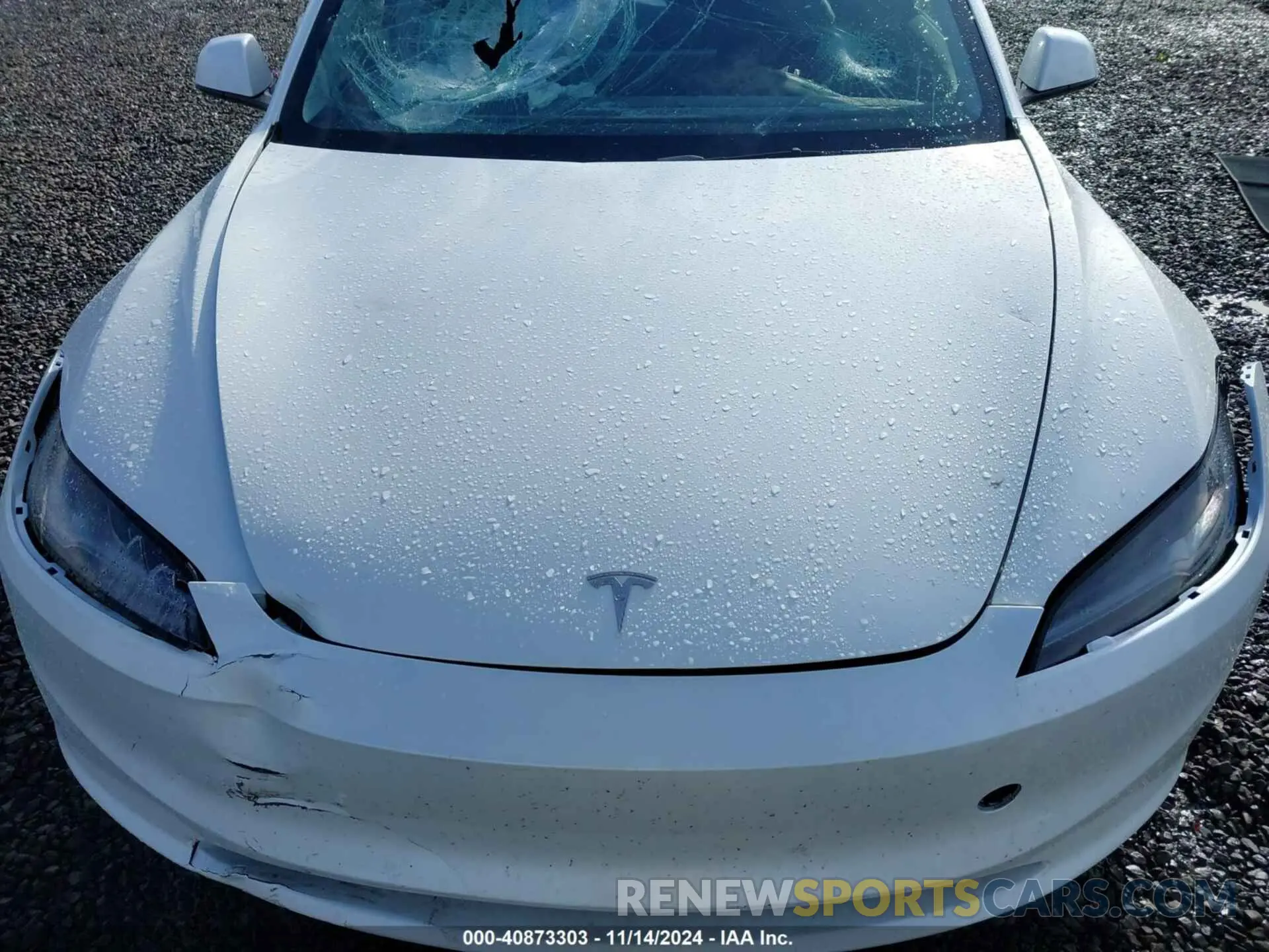 10 Photograph of a damaged car 5YJ3E1EB2RF799986 TESLA MODEL 3 2024