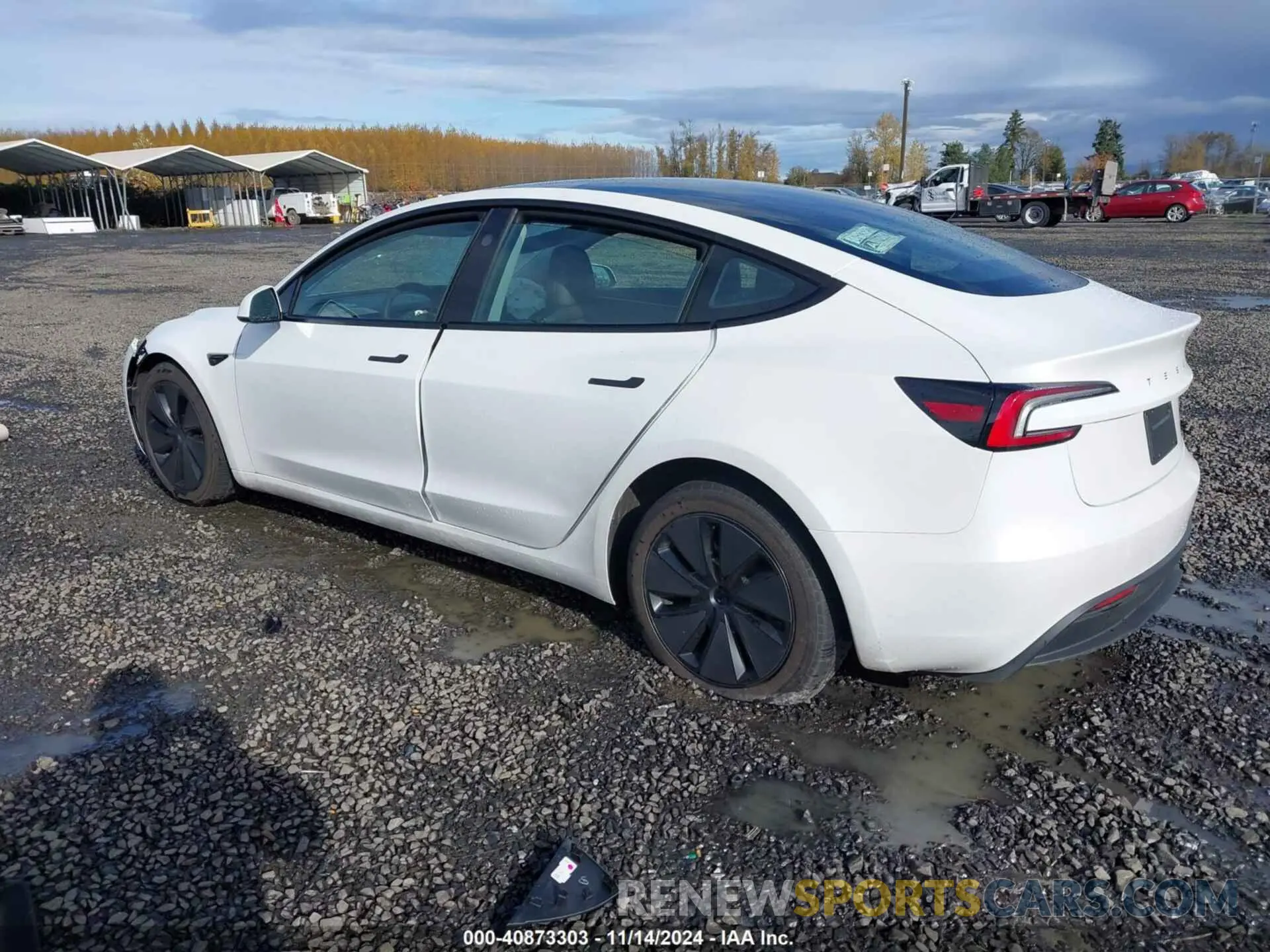 3 Photograph of a damaged car 5YJ3E1EB2RF799986 TESLA MODEL 3 2024