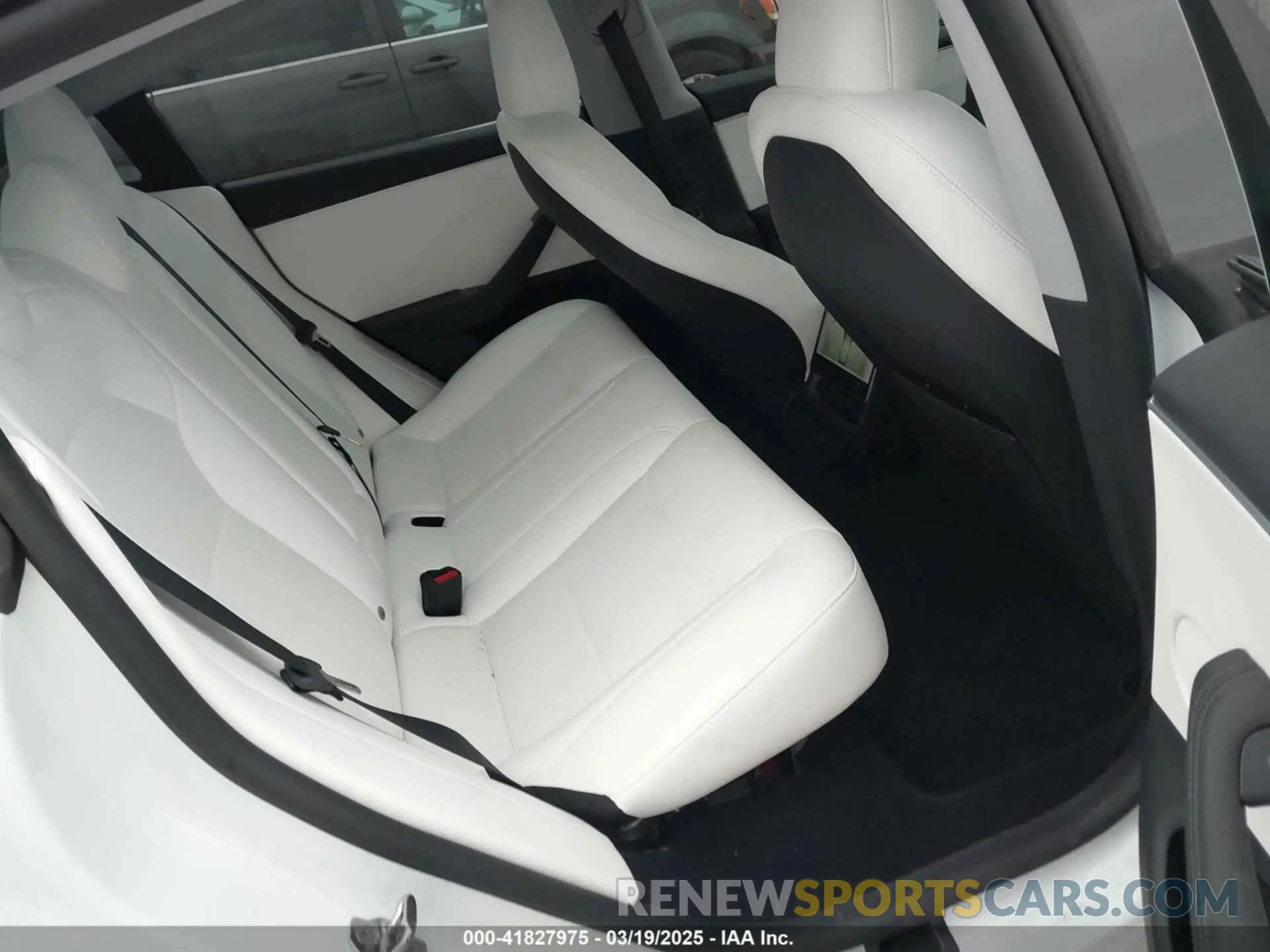 8 Photograph of a damaged car 5YJ3E1EB5RF855161 TESLA MODEL 3 2024