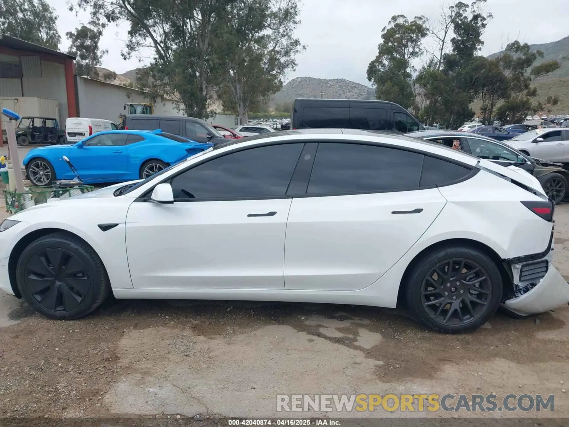 13 Photograph of a damaged car 5YJ3E1EB6RF842807 TESLA MODEL 3 2024