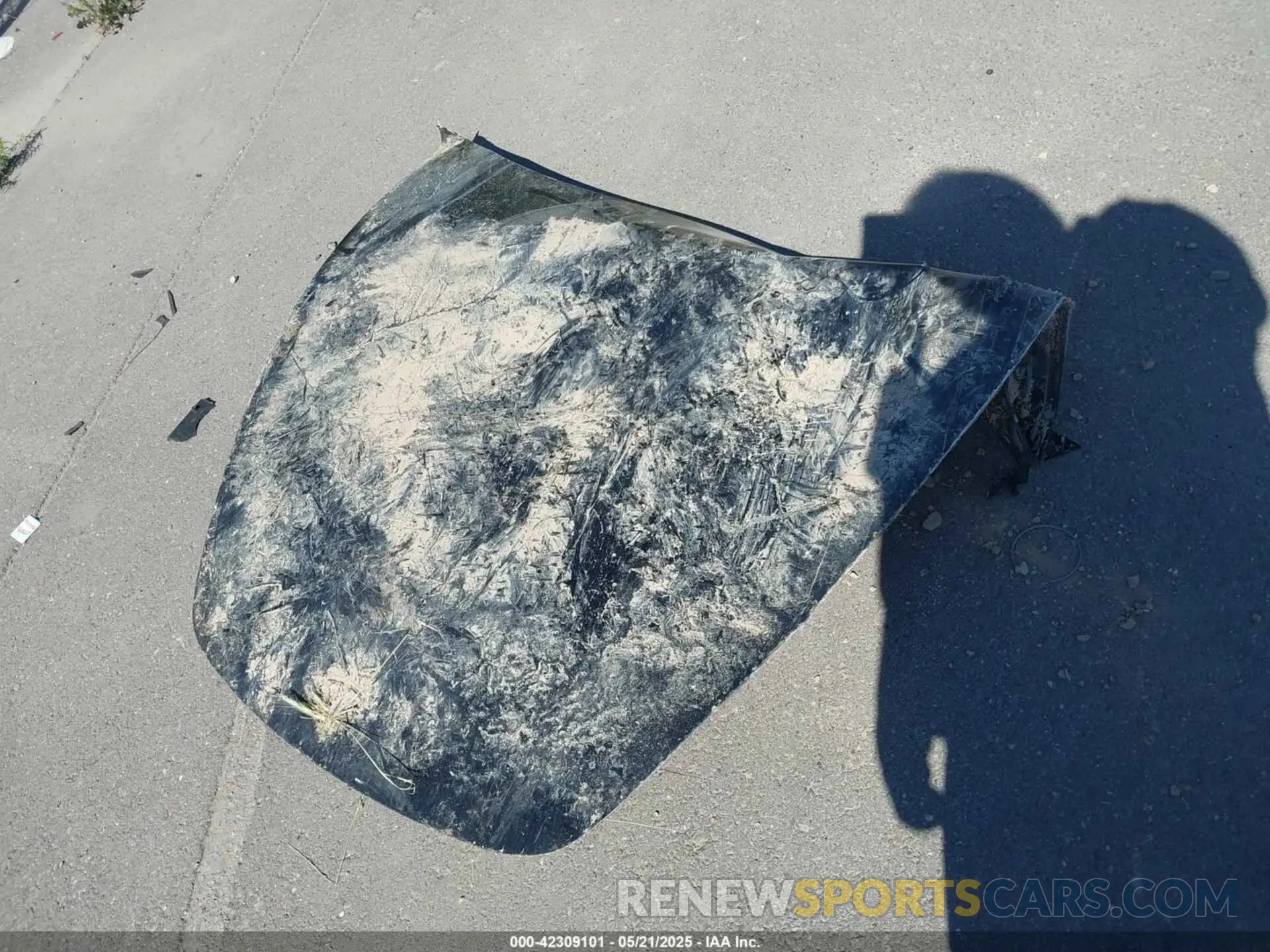 11 Photograph of a damaged car 5YJ3E1ET3RF789461 TESLA MODEL 3 2024