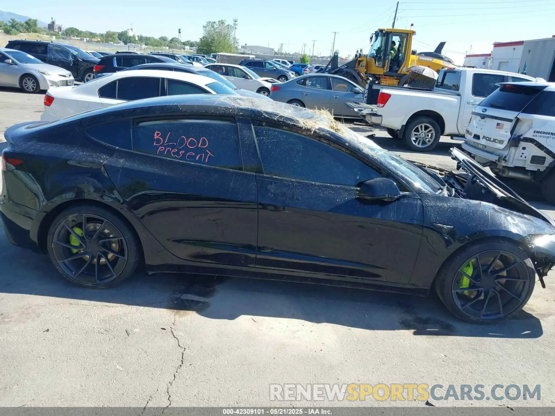 13 Photograph of a damaged car 5YJ3E1ET3RF789461 TESLA MODEL 3 2024