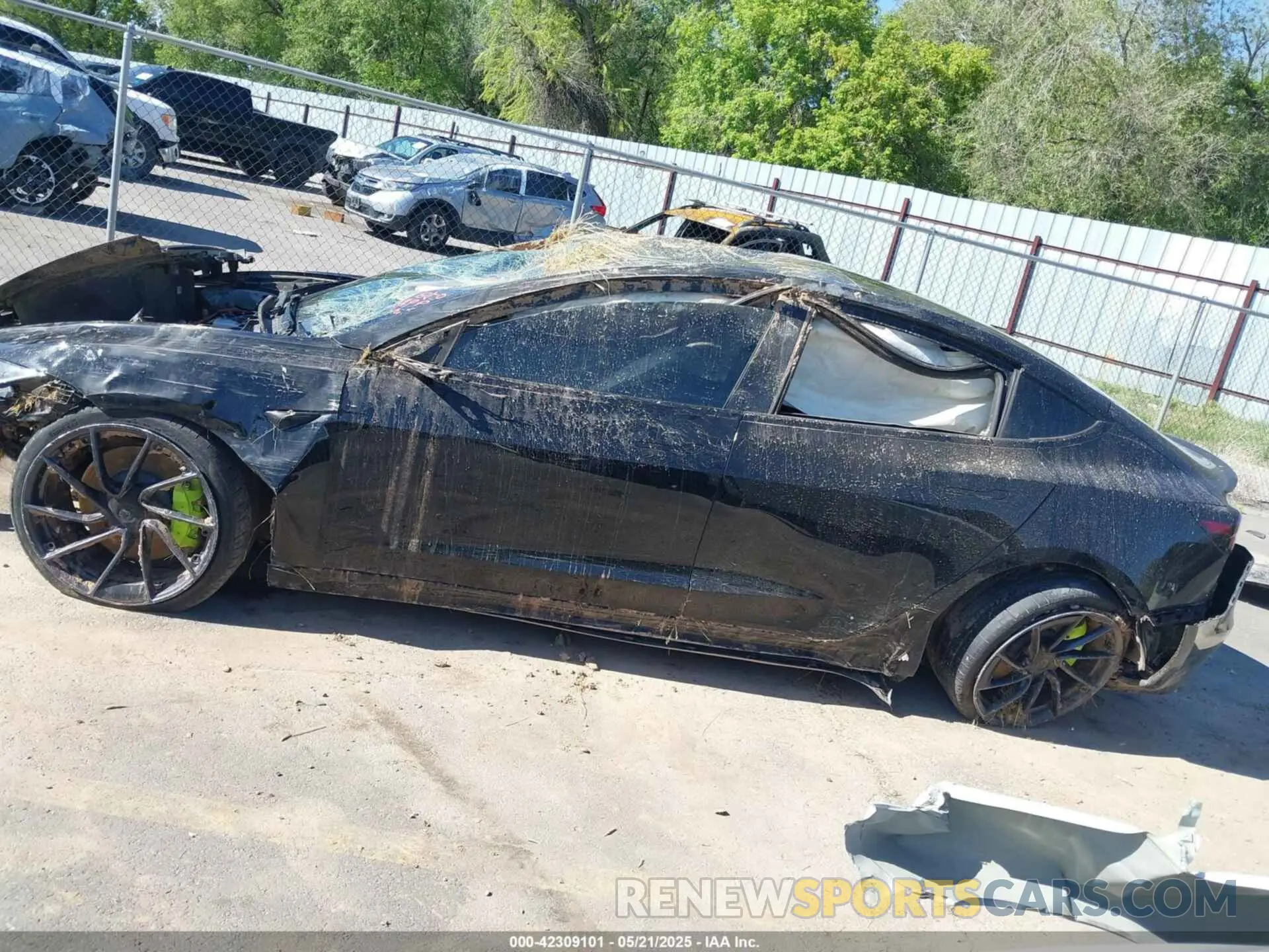 14 Photograph of a damaged car 5YJ3E1ET3RF789461 TESLA MODEL 3 2024