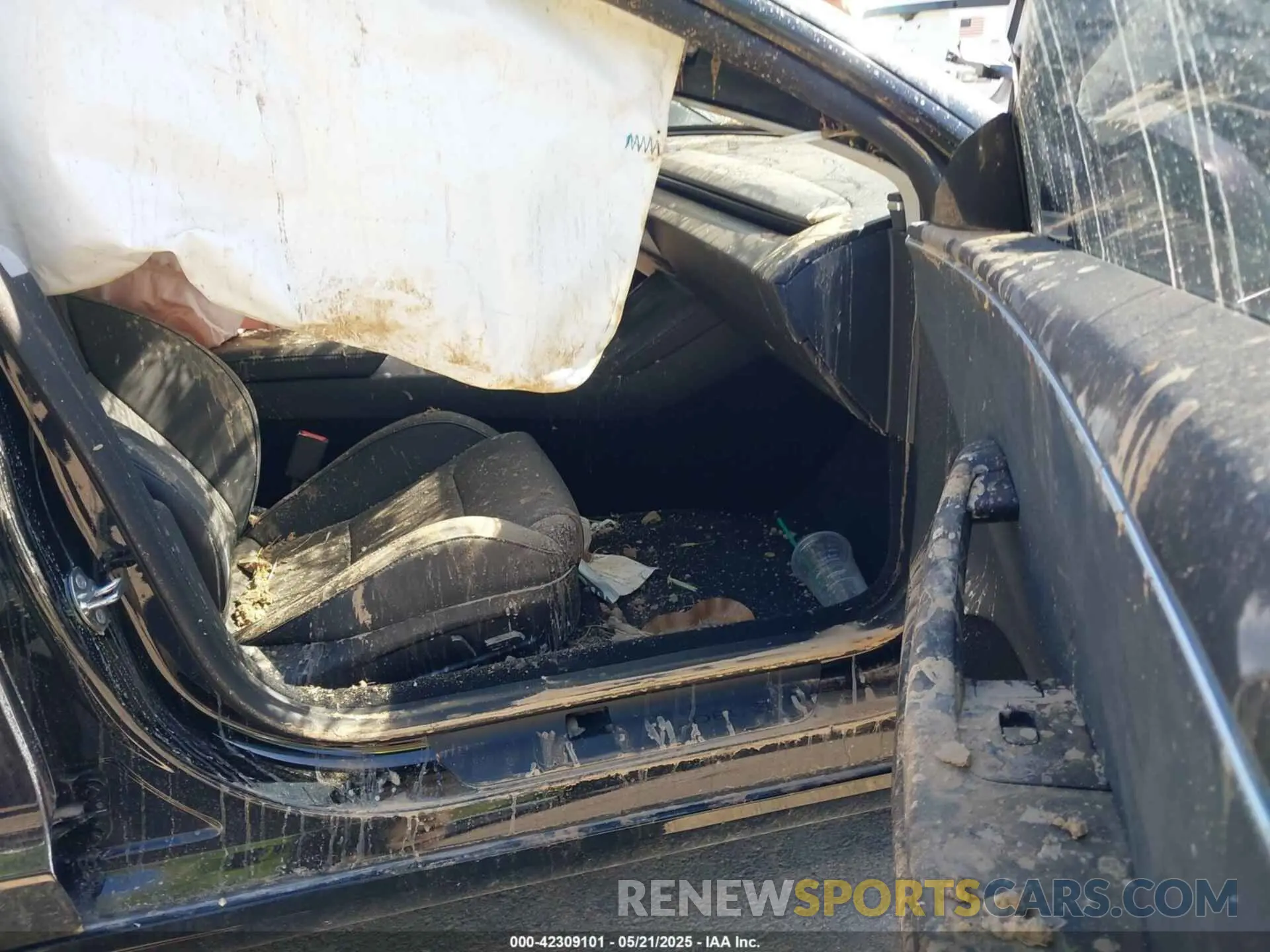 5 Photograph of a damaged car 5YJ3E1ET3RF789461 TESLA MODEL 3 2024