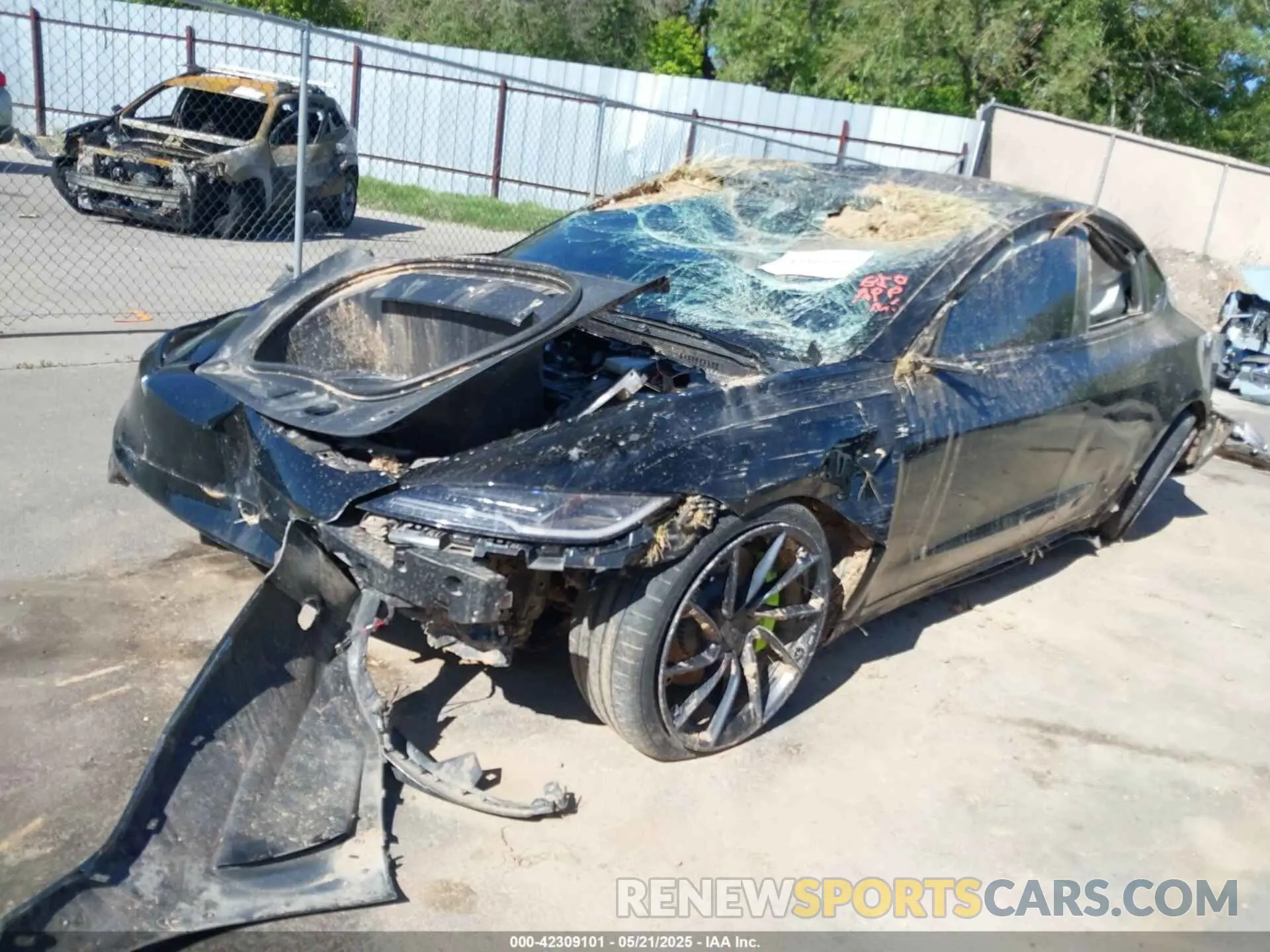 6 Photograph of a damaged car 5YJ3E1ET3RF789461 TESLA MODEL 3 2024