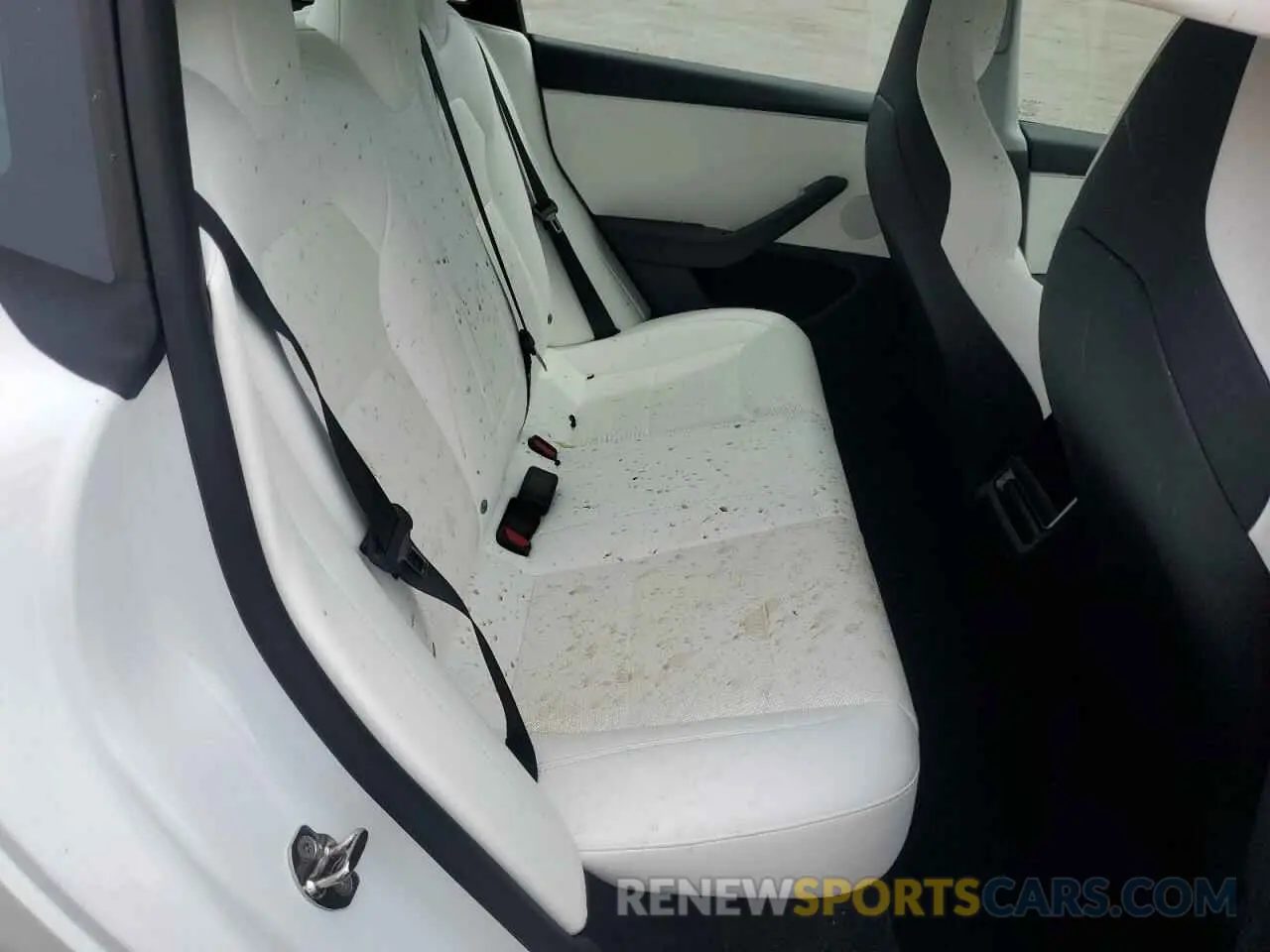 10 Photograph of a damaged car 5YJ3E1ETXRF828613 TESLA MODEL 3 2024
