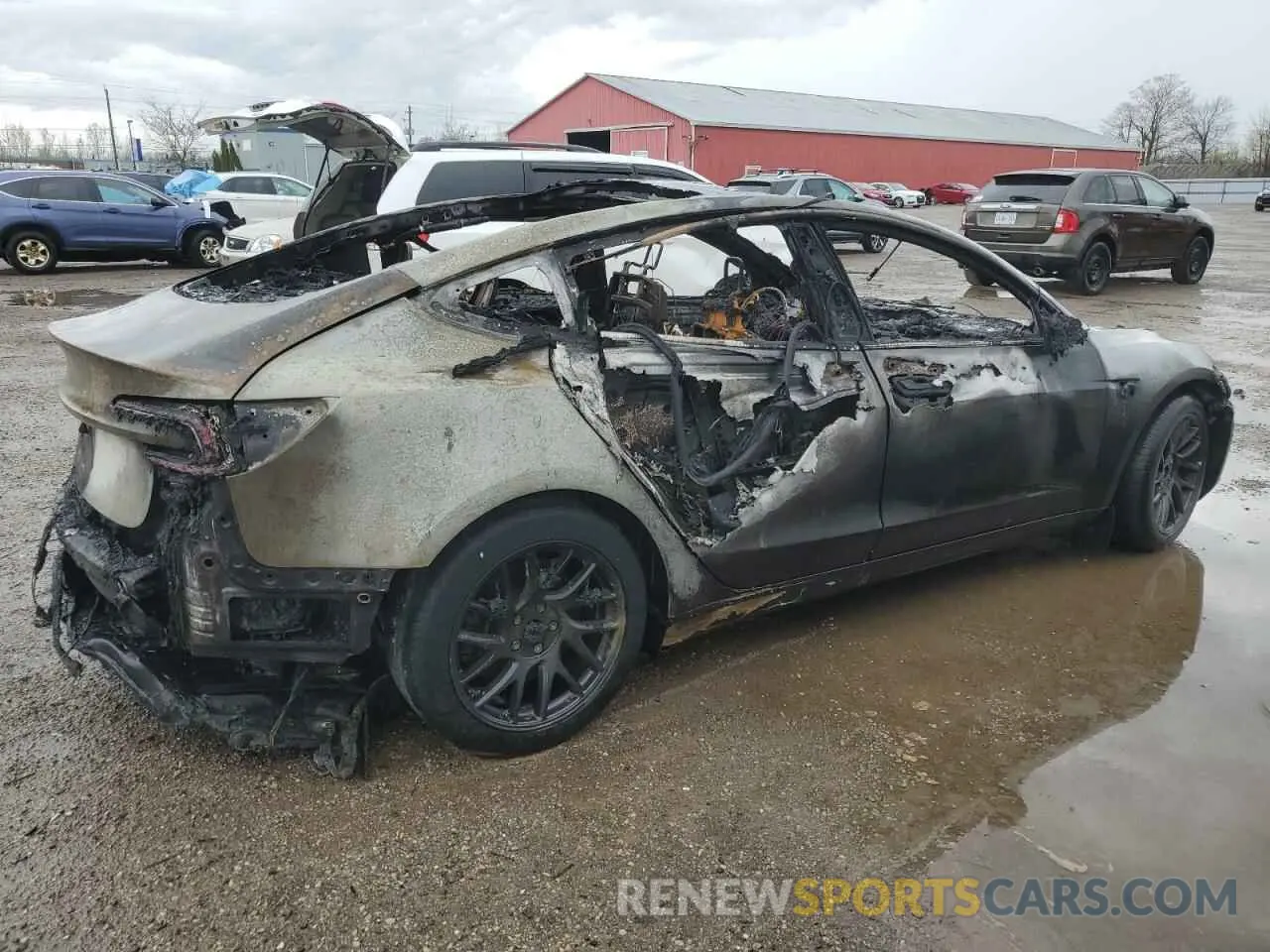 3 Photograph of a damaged car LRW3E7EB6RC259022 TESLA MODEL 3 2024