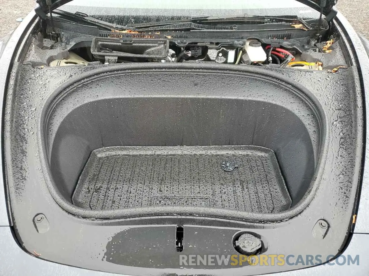 11 Photograph of a damaged car LRW3E7FA8RC094032 TESLA MODEL 3 2024