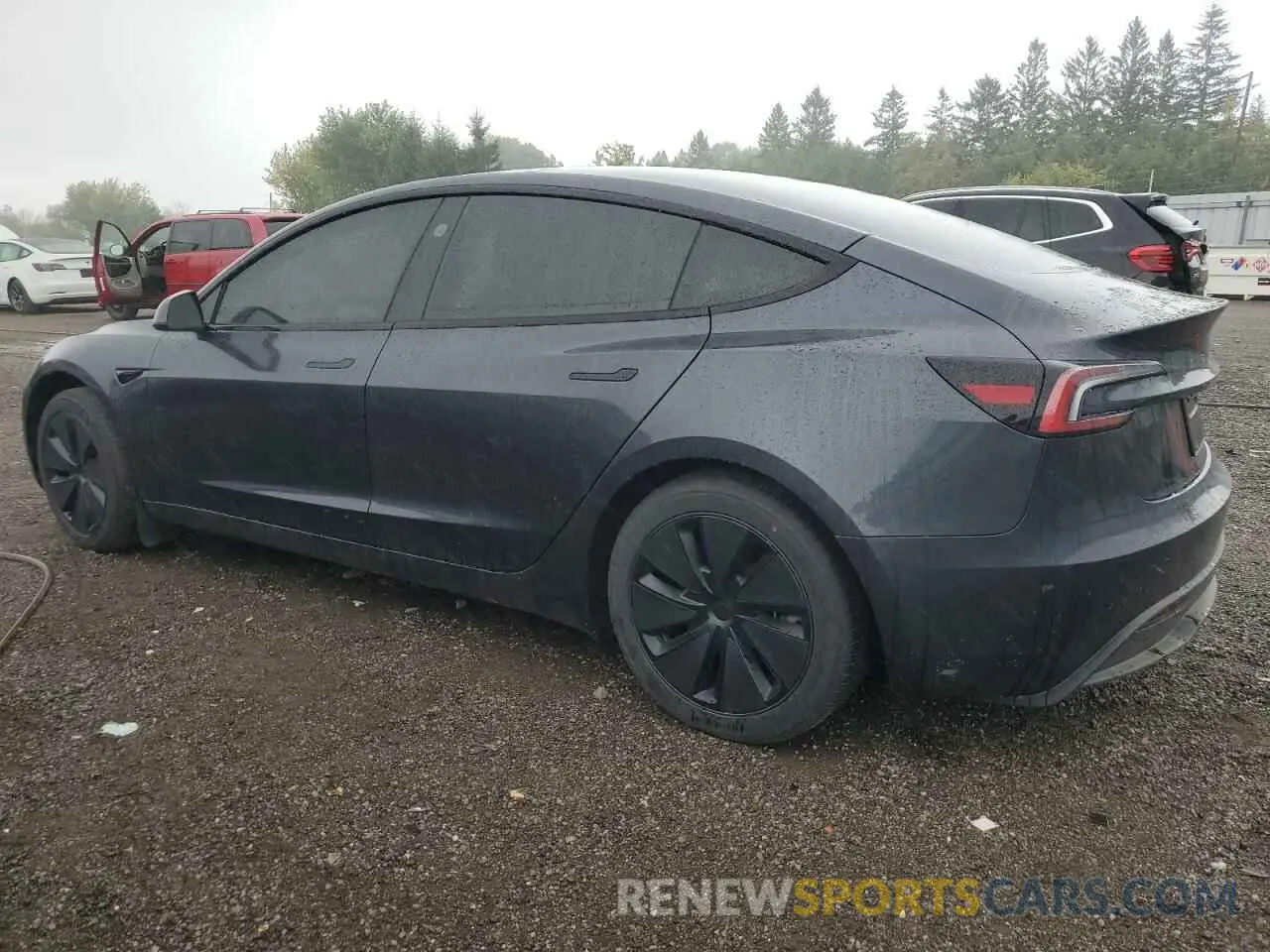 2 Photograph of a damaged car LRW3E7FA8RC094032 TESLA MODEL 3 2024
