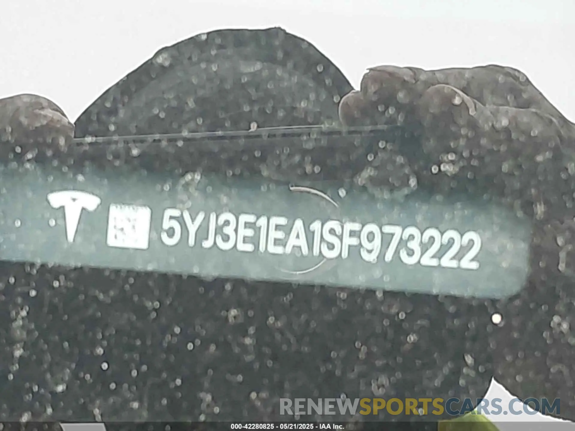 19 Photograph of a damaged car 5YJ3E1EA1SF973222 TESLA MODEL 3 2025