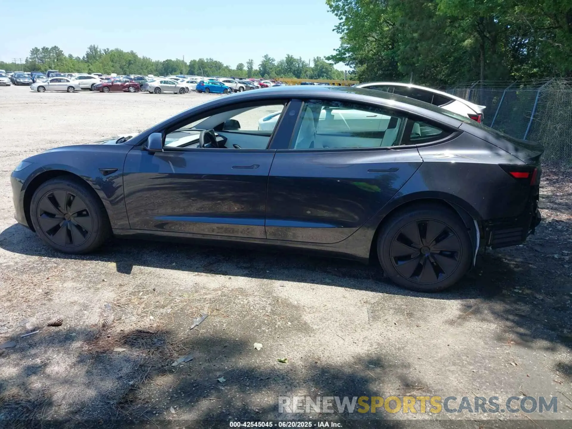 14 Photograph of a damaged car 5YJ3E1EA3SF999157 TESLA MODEL 3 2025