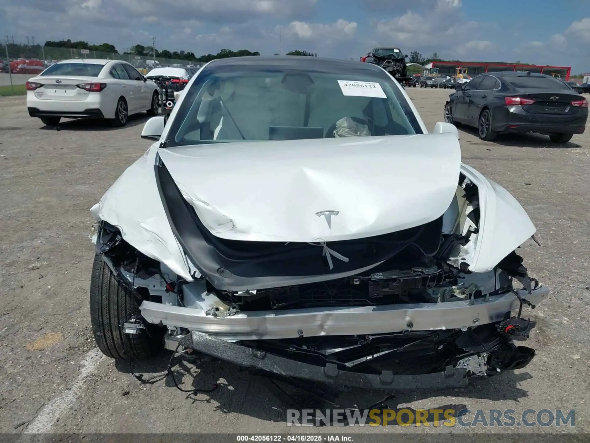 12 Photograph of a damaged car 5YJ3E1EA7SF903675 TESLA MODEL 3 2025