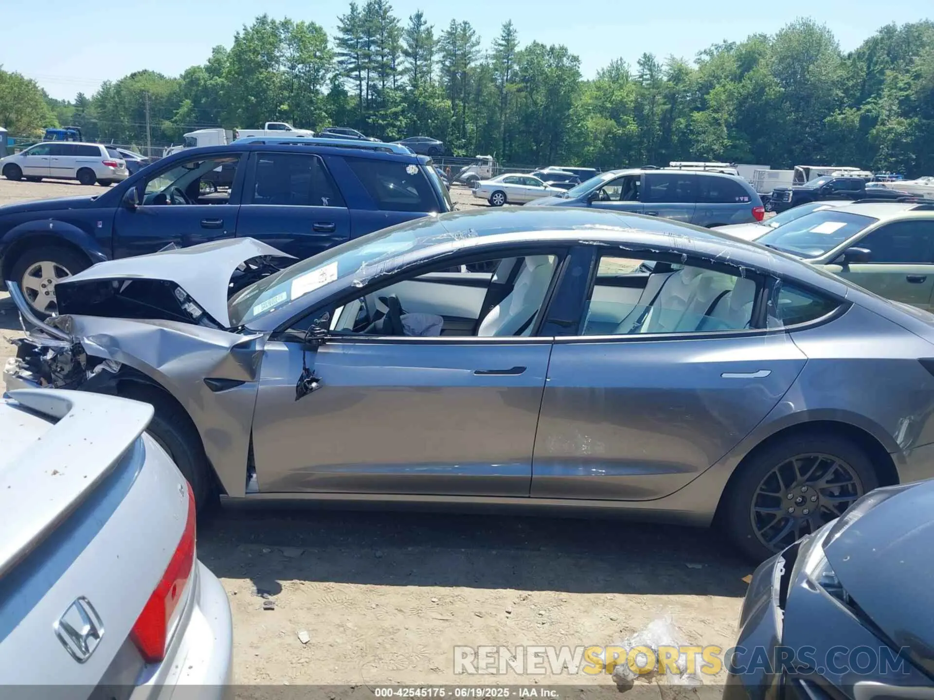 13 Photograph of a damaged car 5YJ3E1EB0SF016895 TESLA MODEL 3 2025
