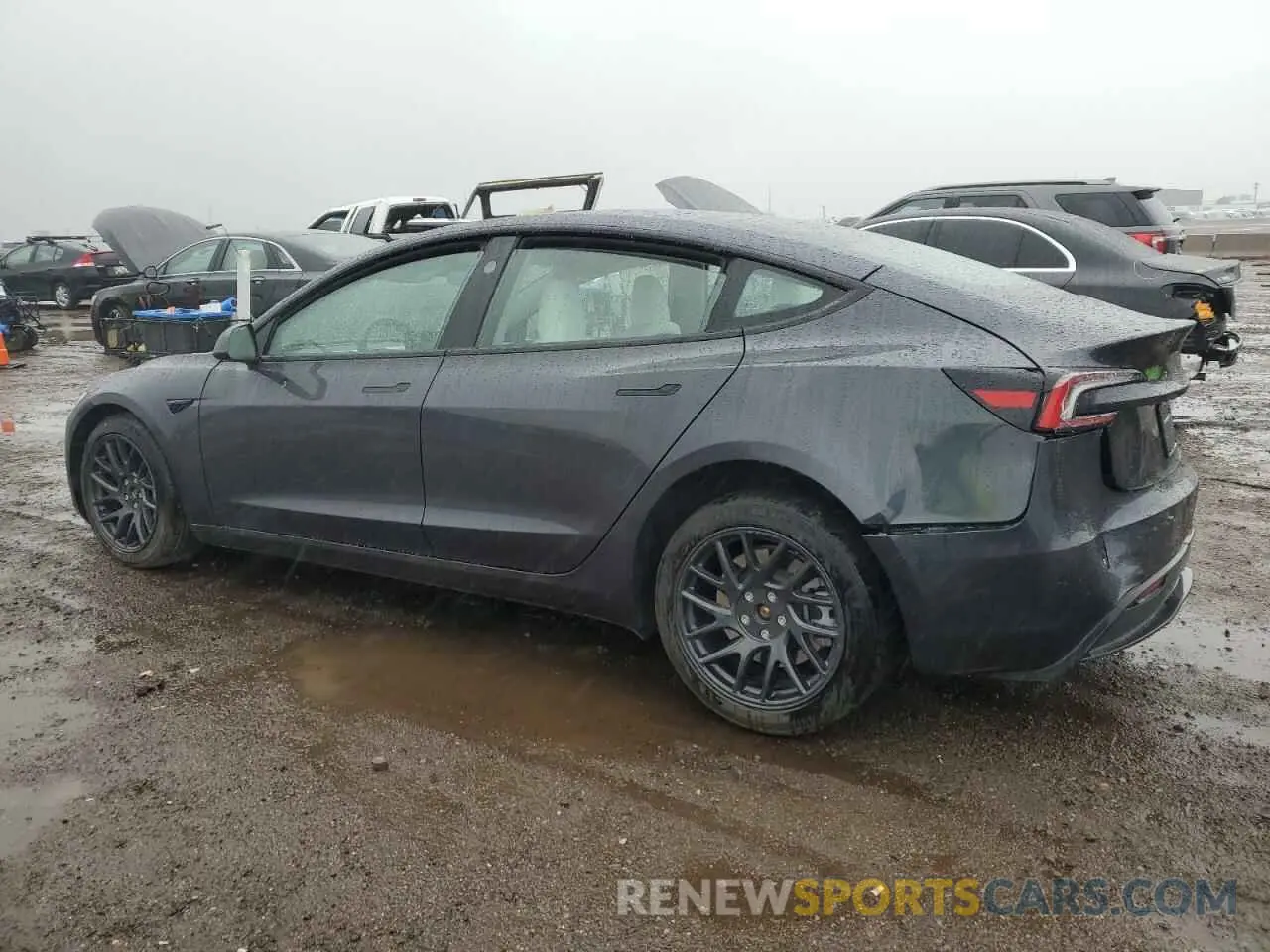 2 Photograph of a damaged car 5YJ3E1EB0SF876117 TESLA MODEL 3 2025