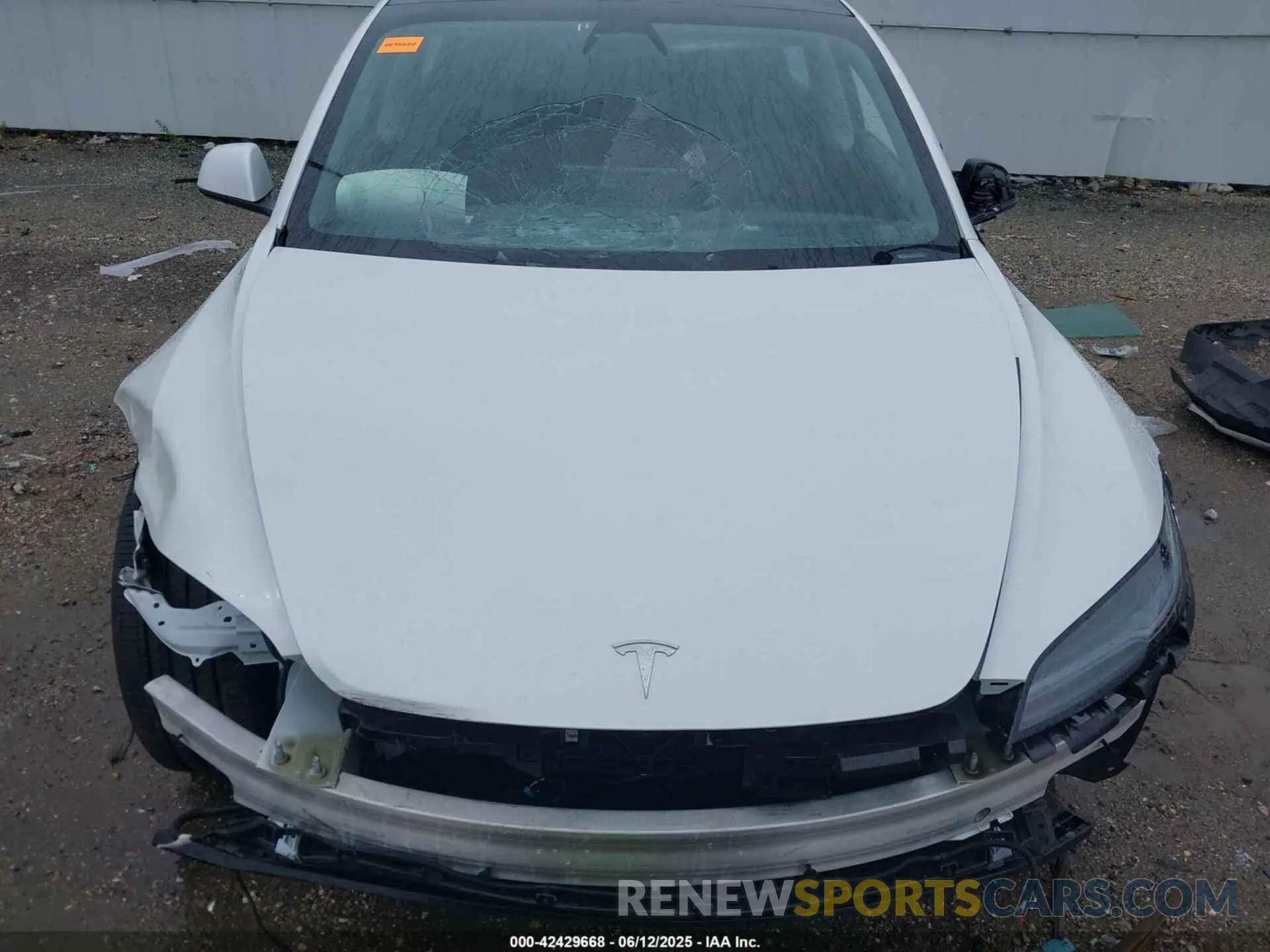 12 Photograph of a damaged car 5YJ3E1EB1SF932212 TESLA MODEL 3 2025