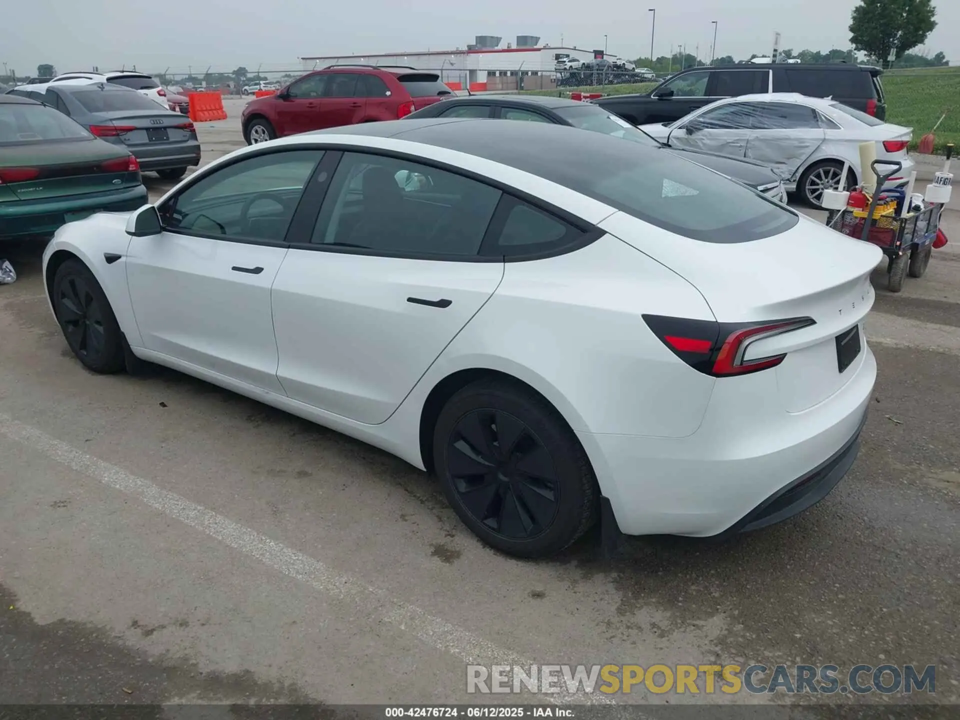 3 Photograph of a damaged car 5YJ3E1EB5SF893625 TESLA MODEL 3 2025