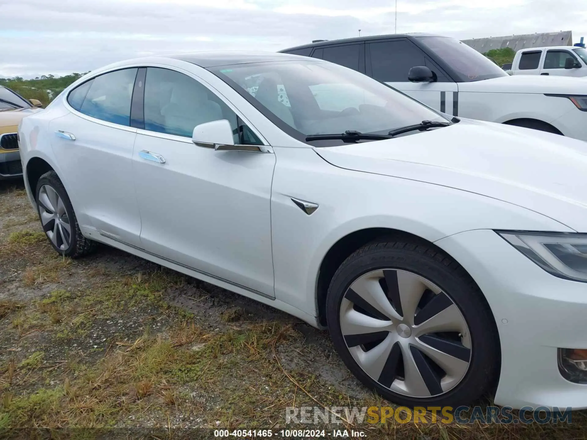 12 Photograph of a damaged car 5YJSA1E21MF424039 TESLA MODEL S 2021