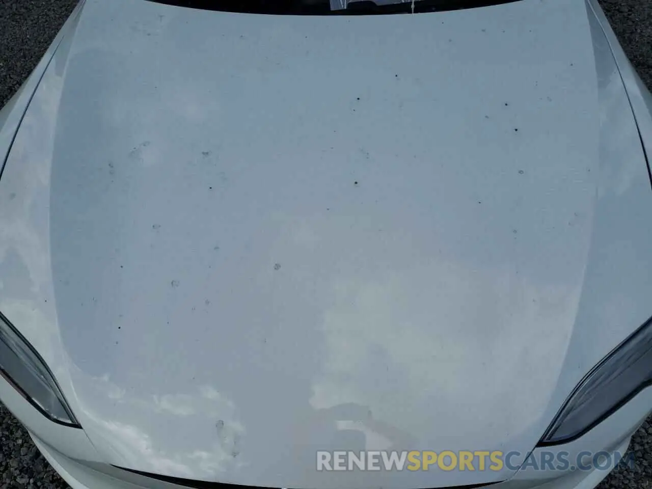 11 Photograph of a damaged car 5YJSA1E60MF439859 TESLA MODEL S 2021