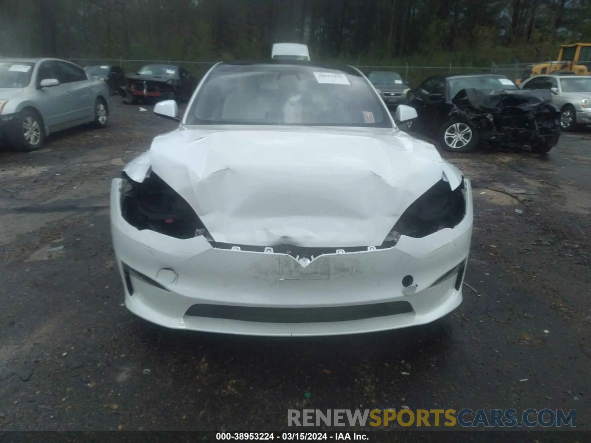 12 Photograph of a damaged car 5YJSA1E57NF462869 TESLA MODEL S 2022