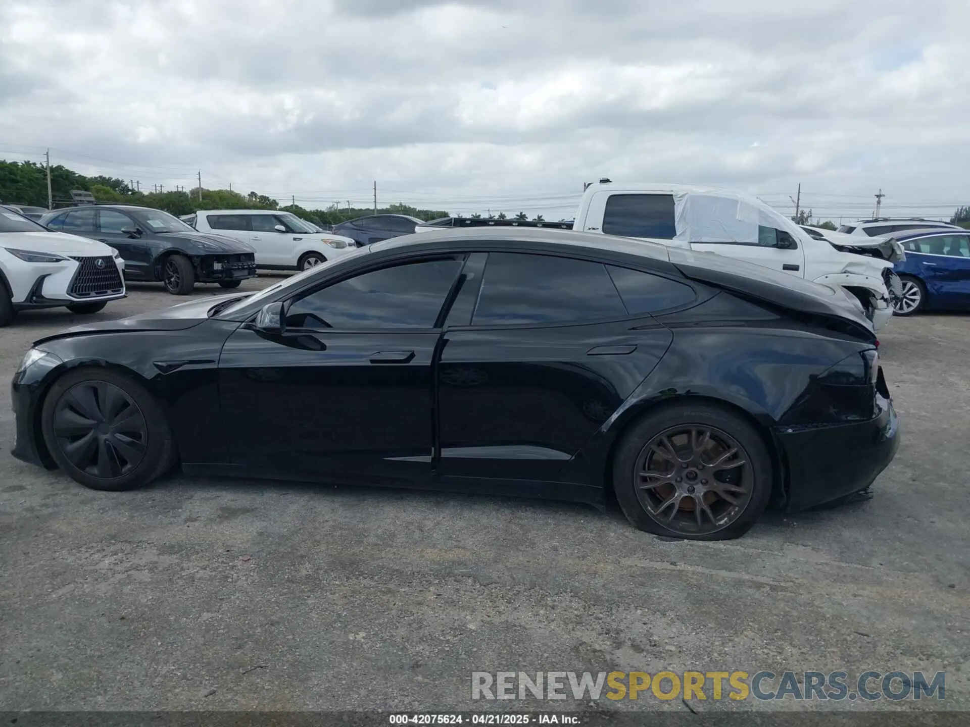 14 Photograph of a damaged car 5YJSA1E53PF510757 TESLA MODEL S 2023