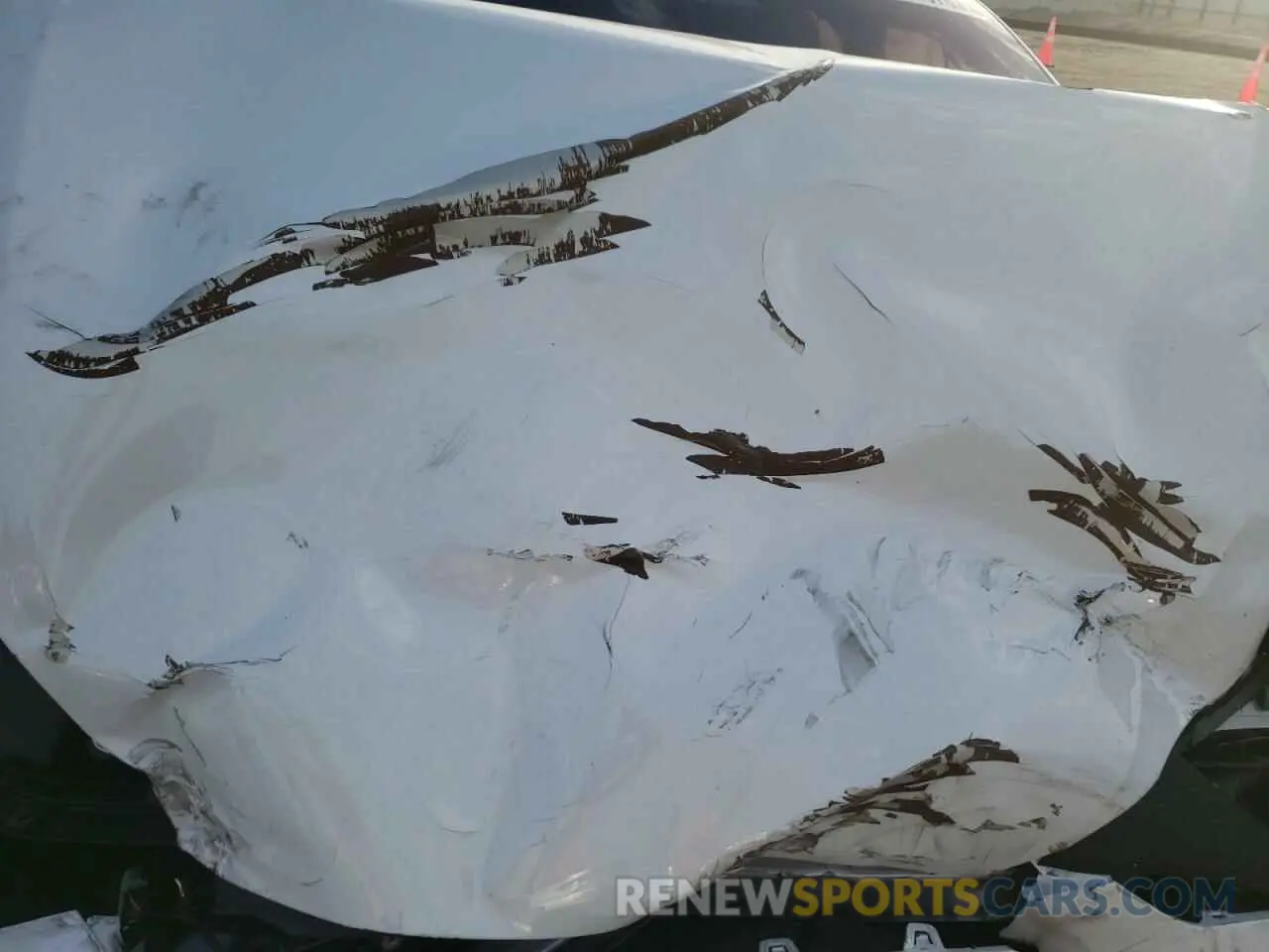 11 Photograph of a damaged car 5YJSA1E55PF518858 TESLA MODEL S 2023