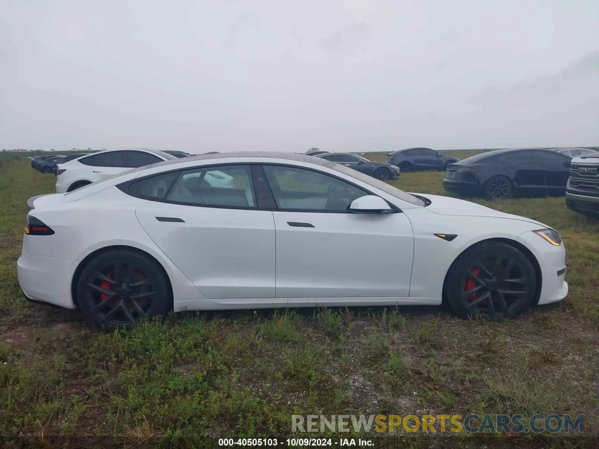 13 Photograph of a damaged car 5YJSA1E65PF528105 TESLA MODEL S 2023