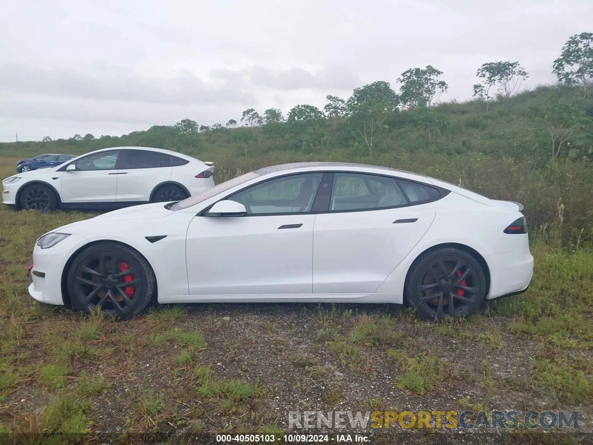 14 Photograph of a damaged car 5YJSA1E65PF528105 TESLA MODEL S 2023