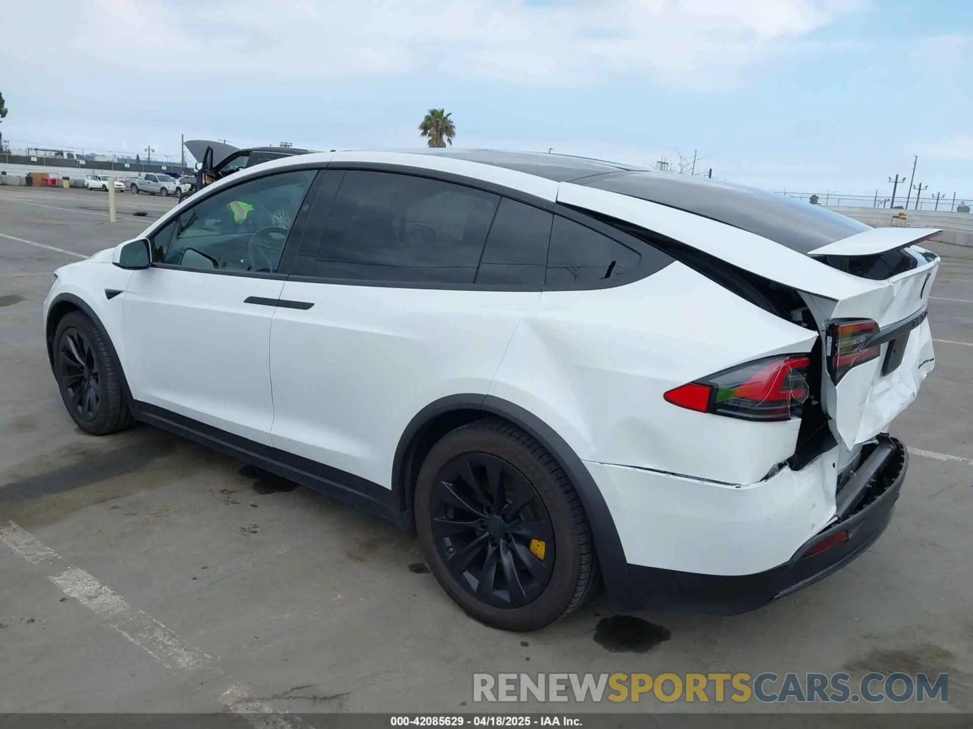 3 Photograph of a damaged car 5YJXCAE26KF211620 TESLA MODEL X 2019