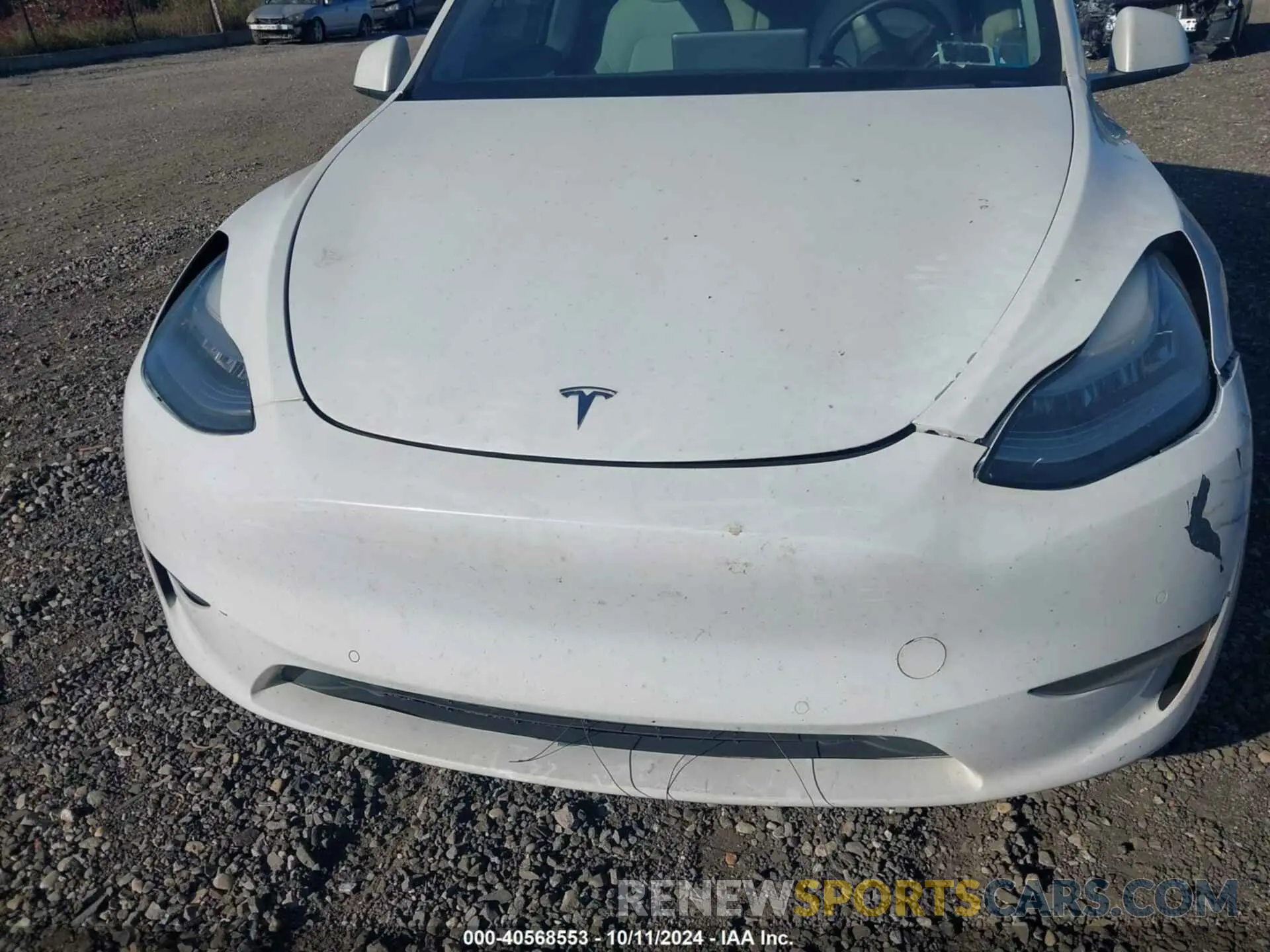 12 Photograph of a damaged car 5YJYGDEE1LF040491 TESLA MODEL Y 2020