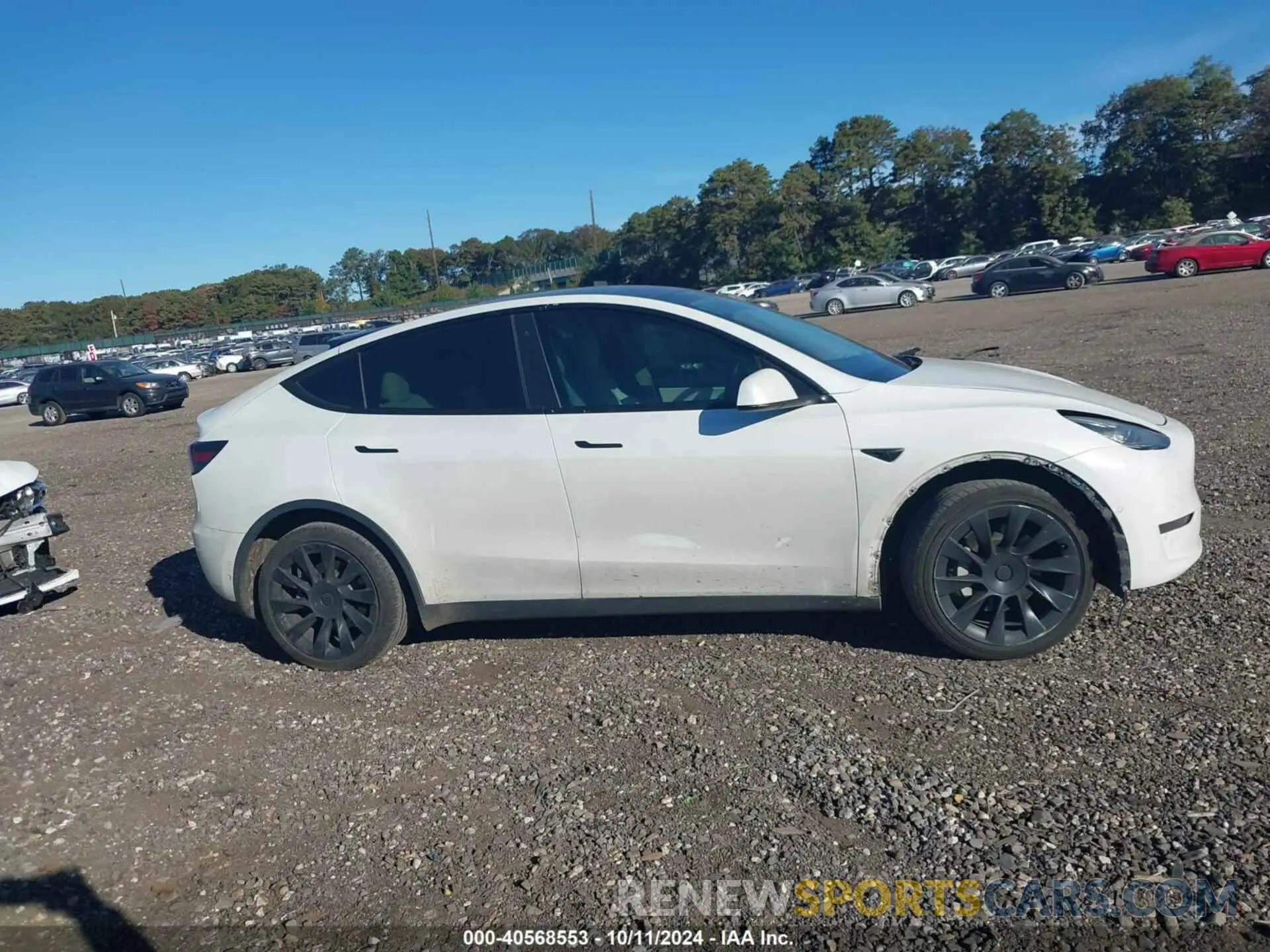 13 Photograph of a damaged car 5YJYGDEE1LF040491 TESLA MODEL Y 2020