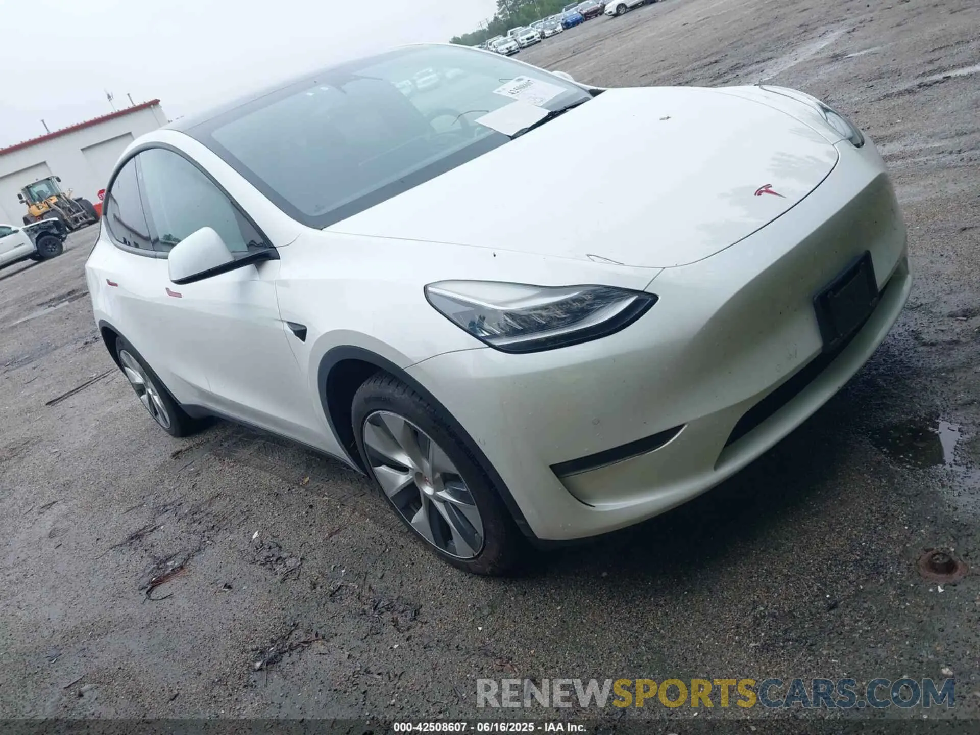 1 Photograph of a damaged car 5YJYGAED6MF136348 TESLA MODEL Y 2021