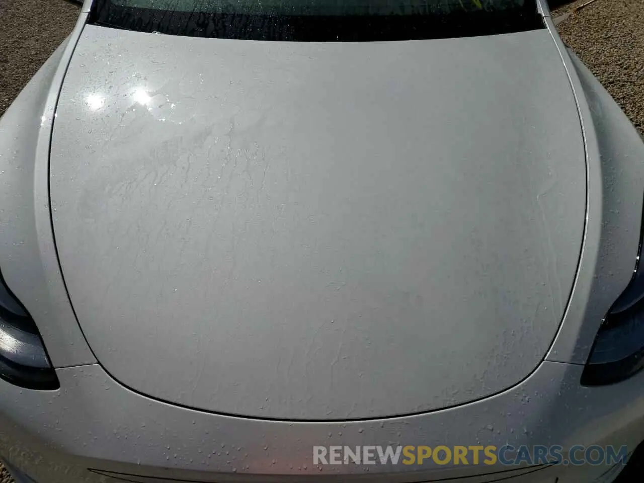 7 Photograph of a damaged car 5YJYGAEE1MF145063 TESLA MODEL Y 2021