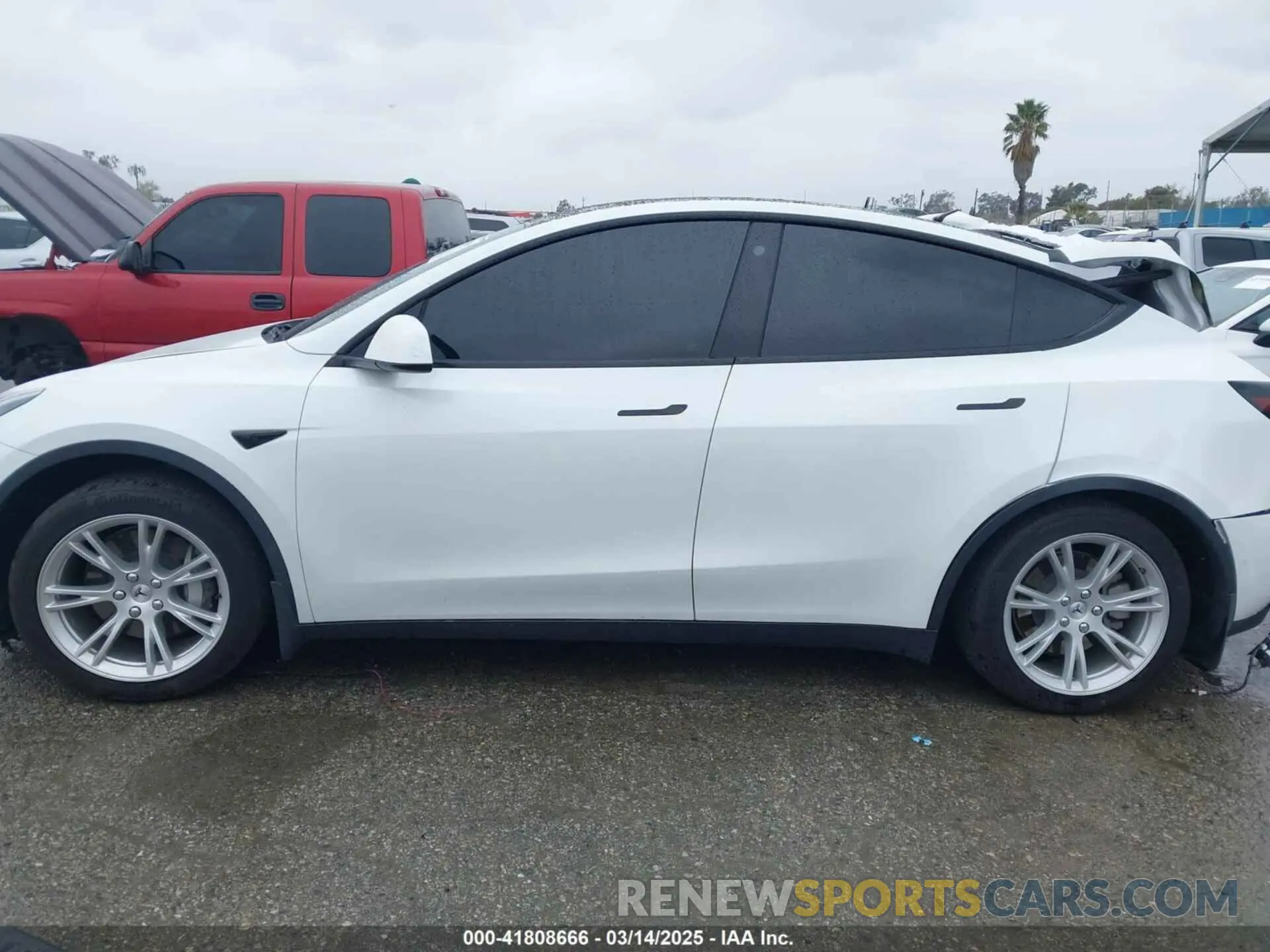 13 Photograph of a damaged car 5YJYGAEE2MF260142 TESLA MODEL Y 2021